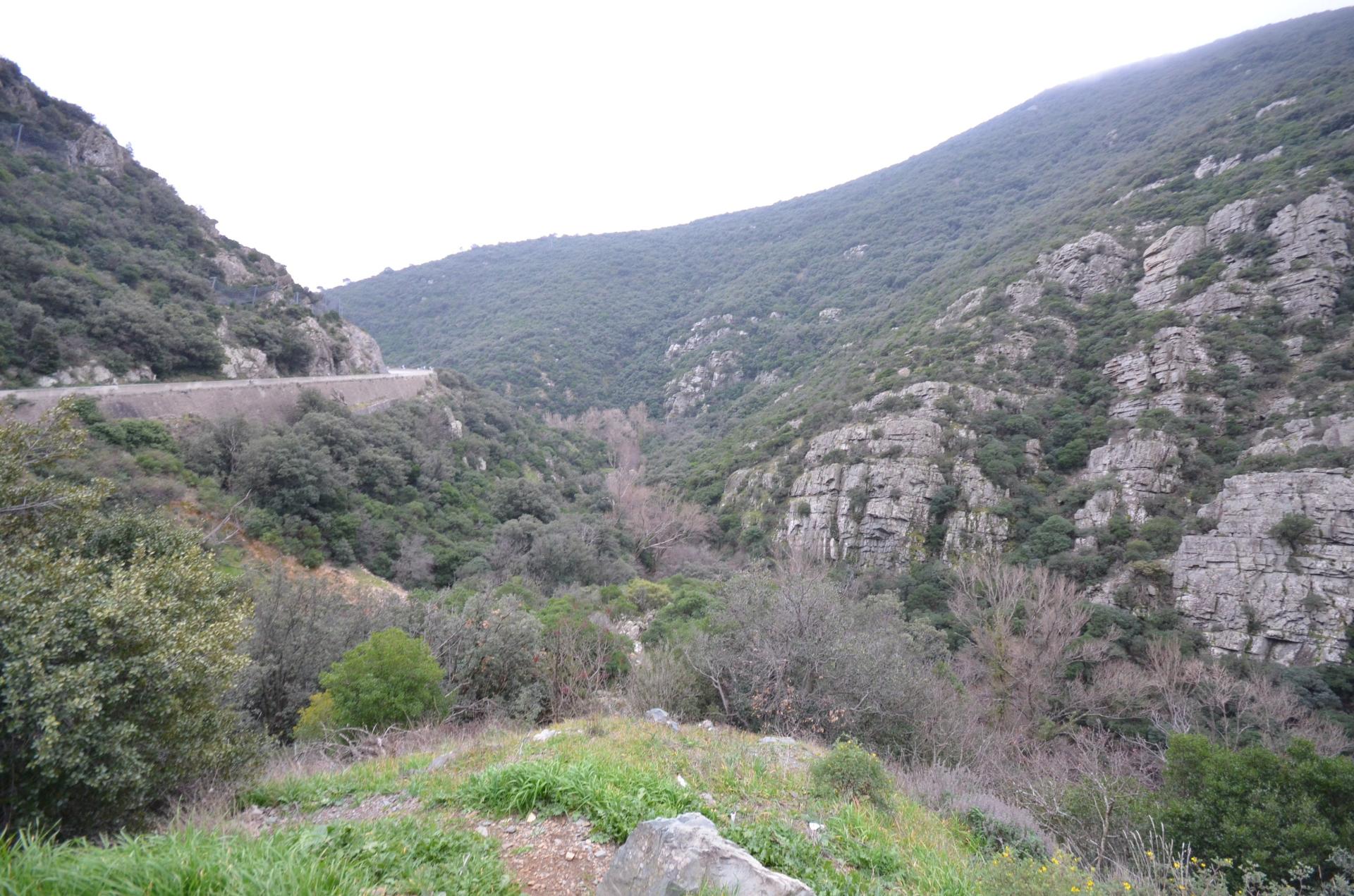 Miniature photo - 8 / 9