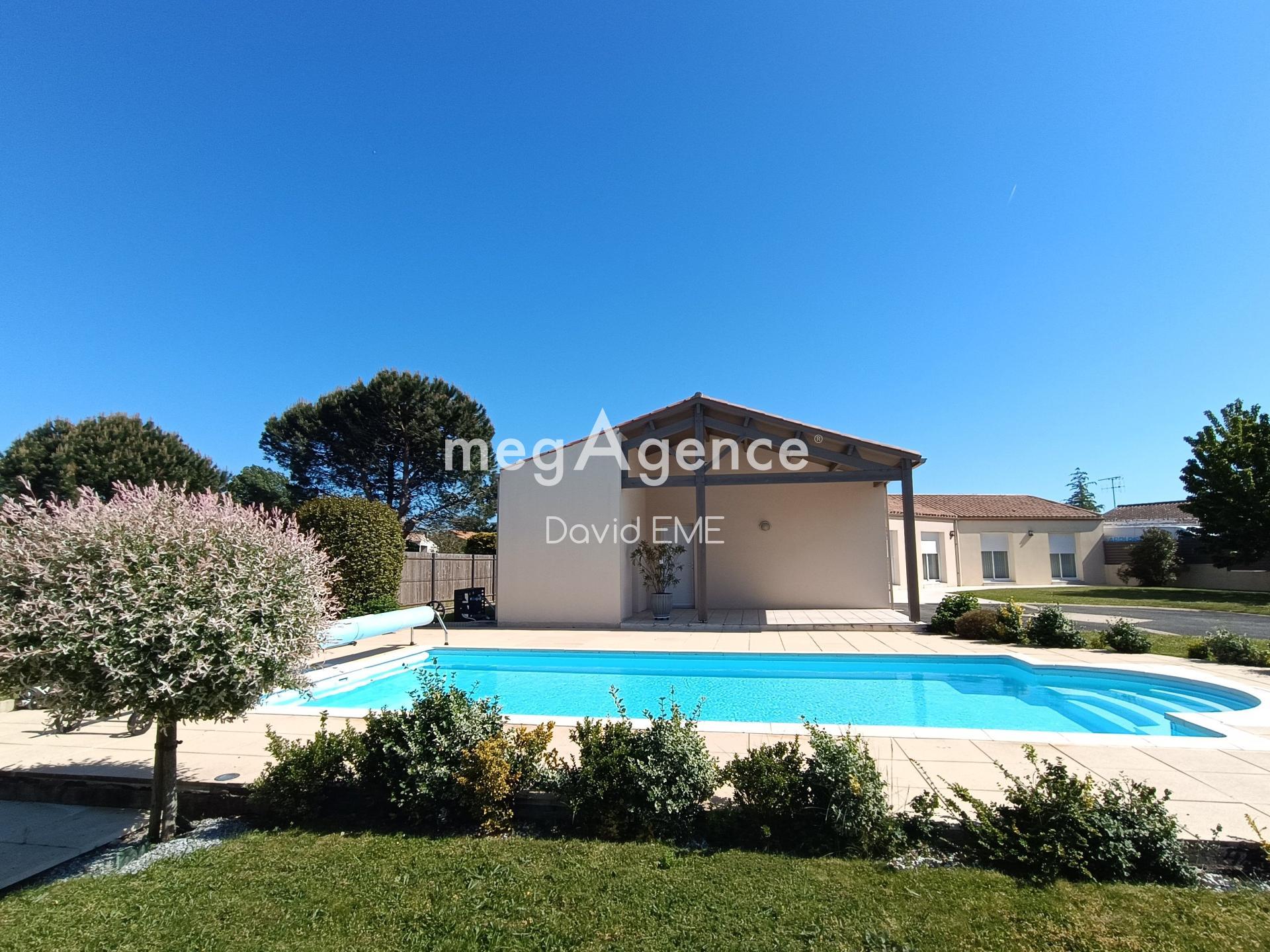 Miniature photo - 4 / 15