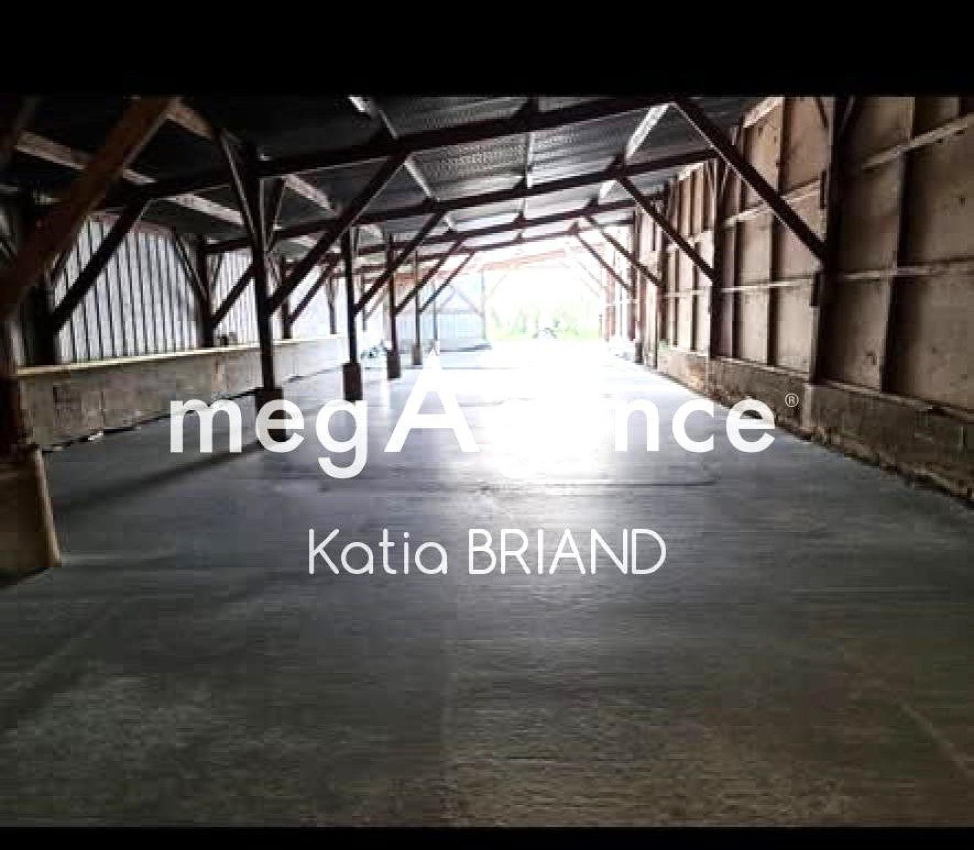 Miniature photo - 5 / 5