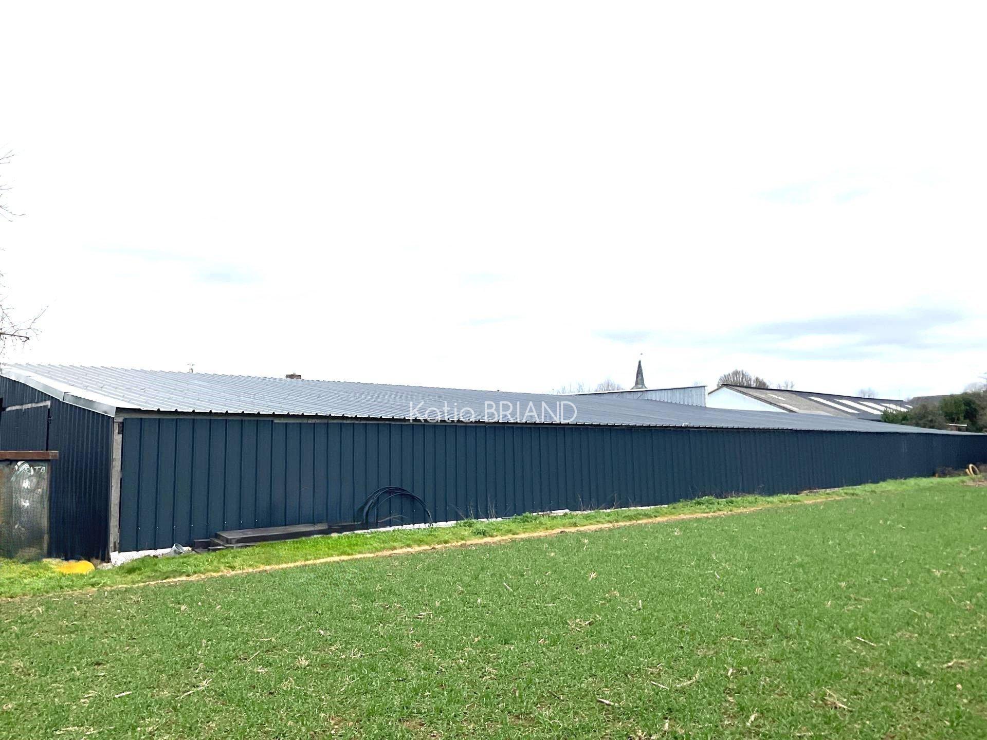 Miniature photo - 4 / 5