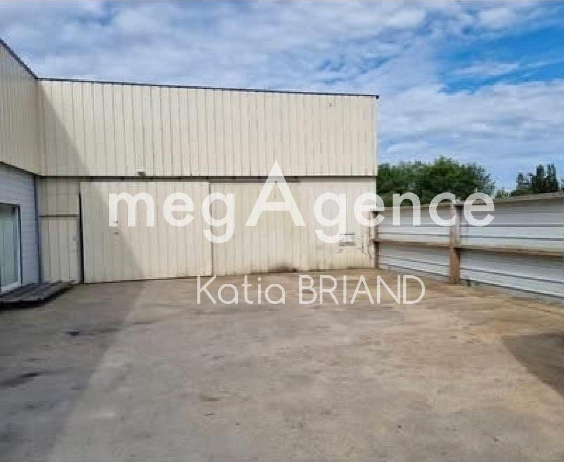 Miniature photo - 3 / 5