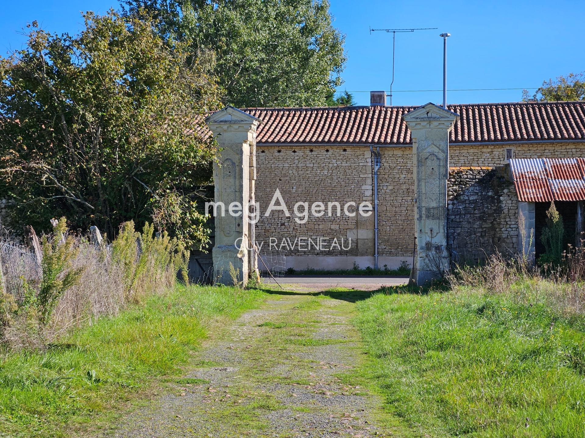 Miniature photo - 12 / 12