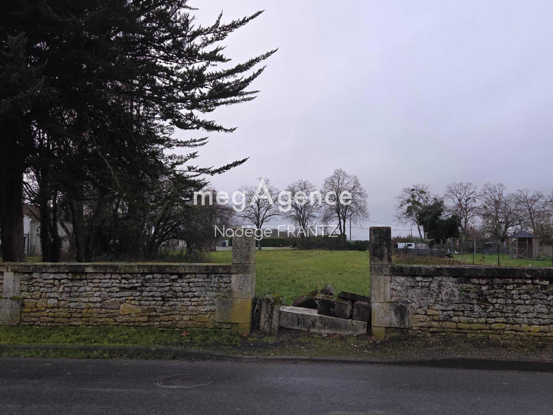 Miniature photo - 2 / 5