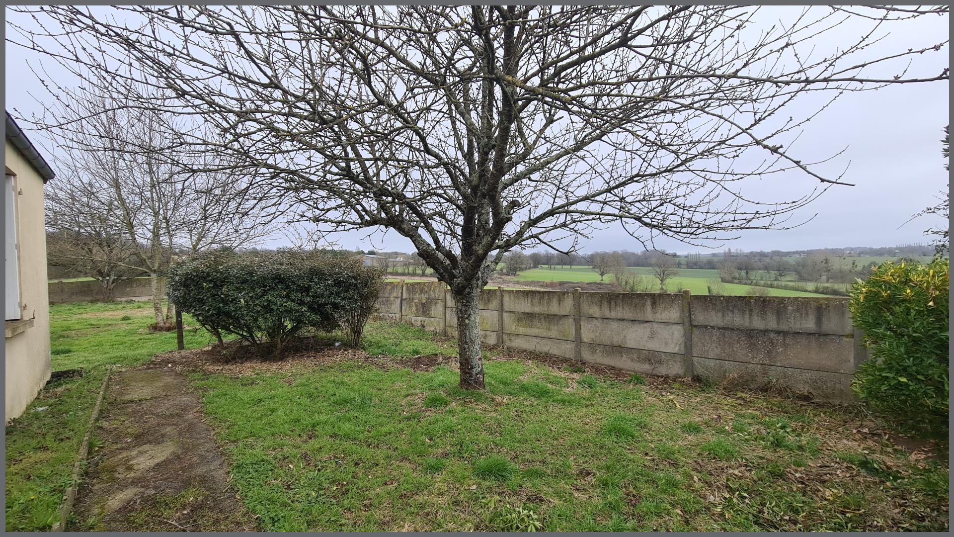 Miniature photo - 6 / 14