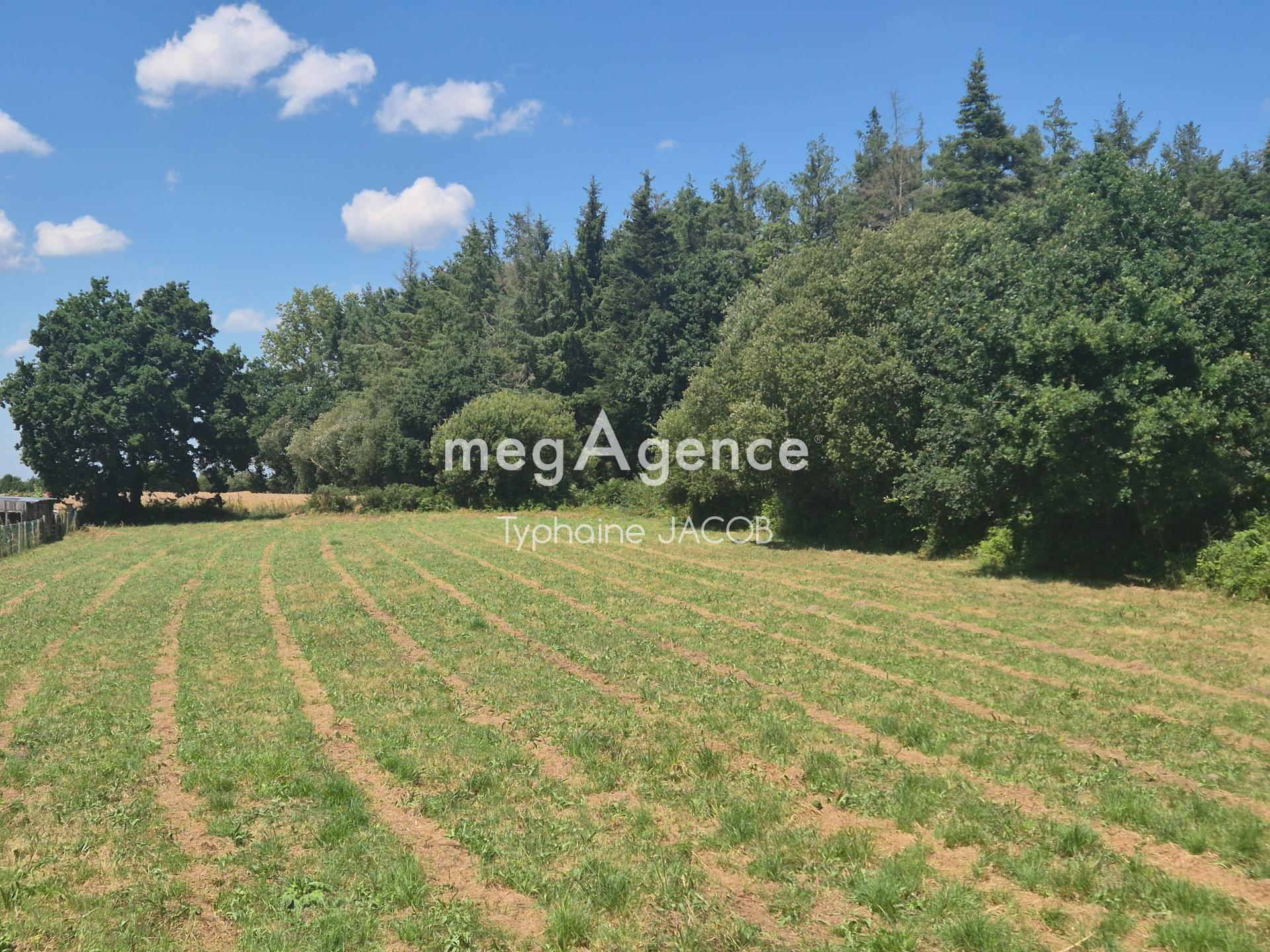 Miniature photo - 2 / 11