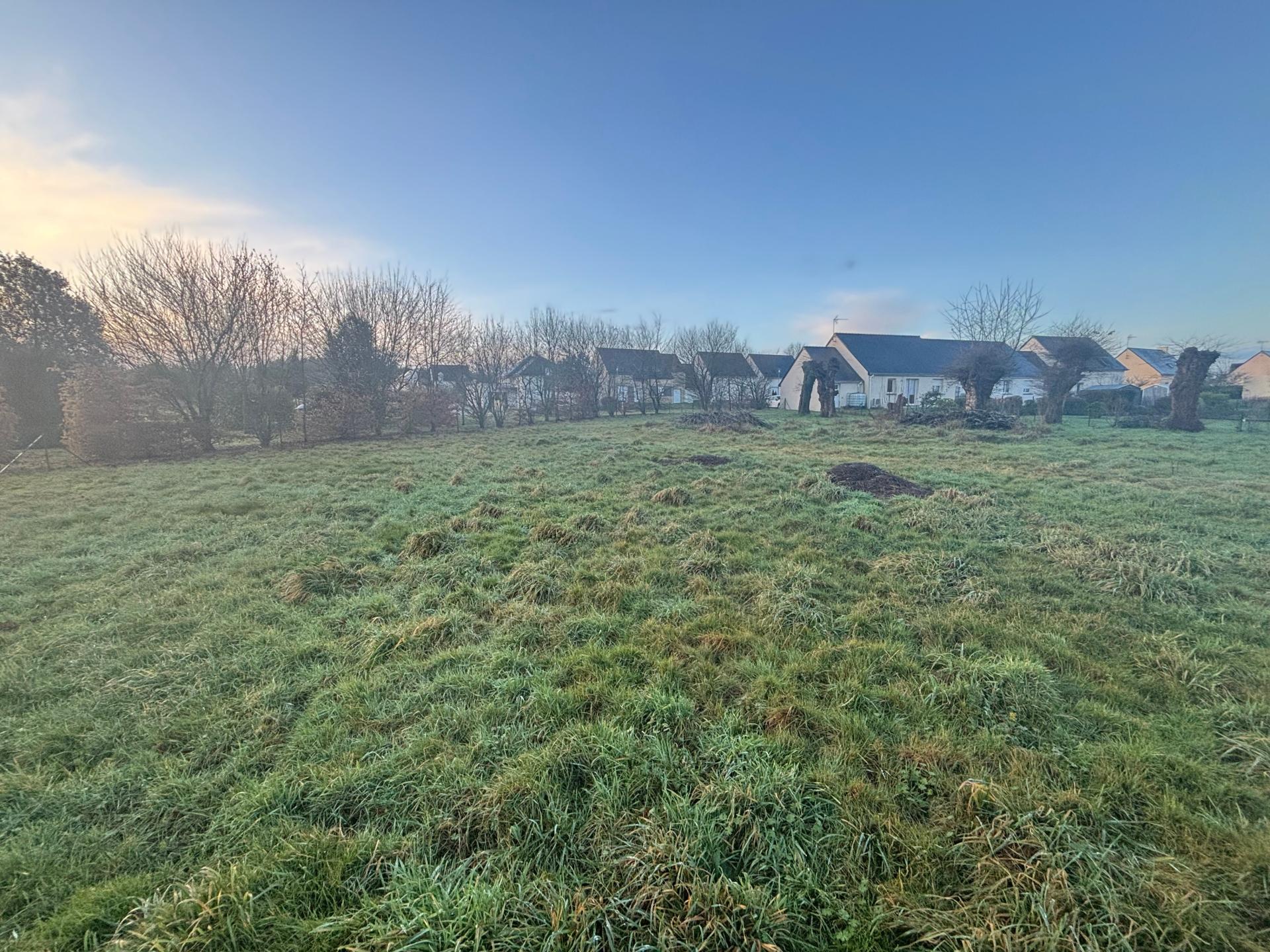 Miniature photo - 2 / 4