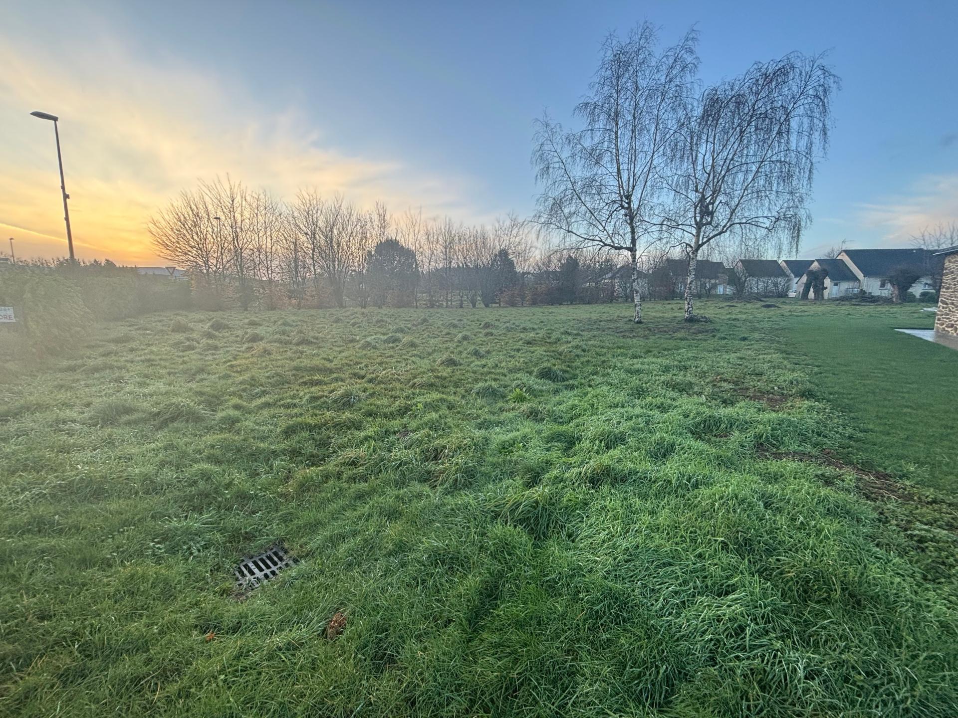 Miniature photo - 3 / 4