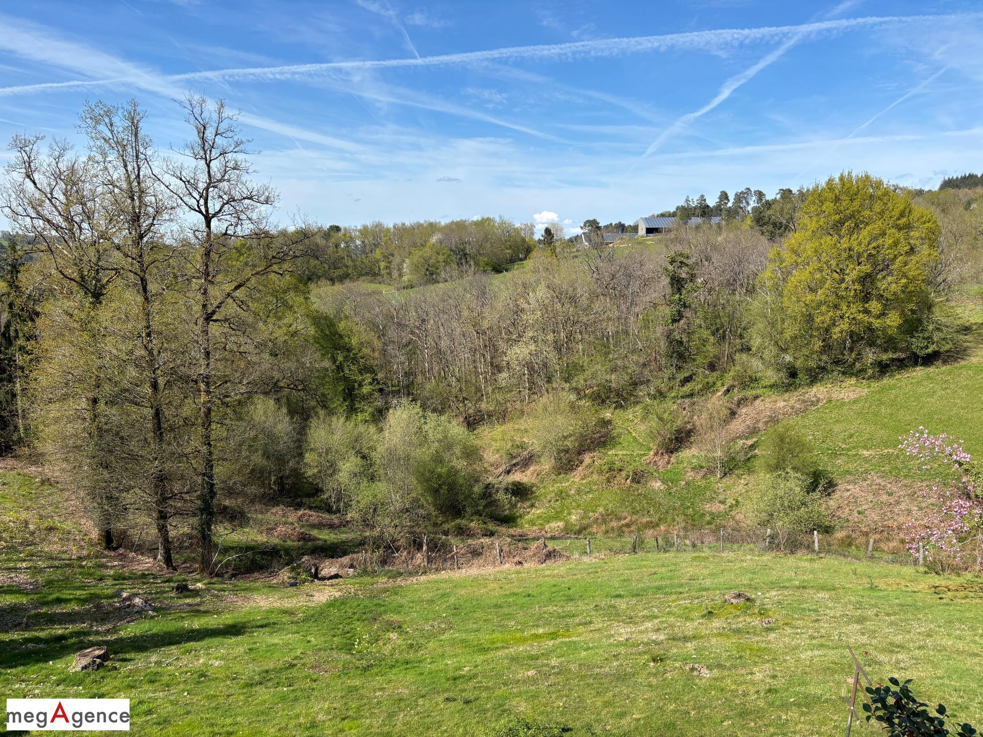 Miniature photo - 6 / 20