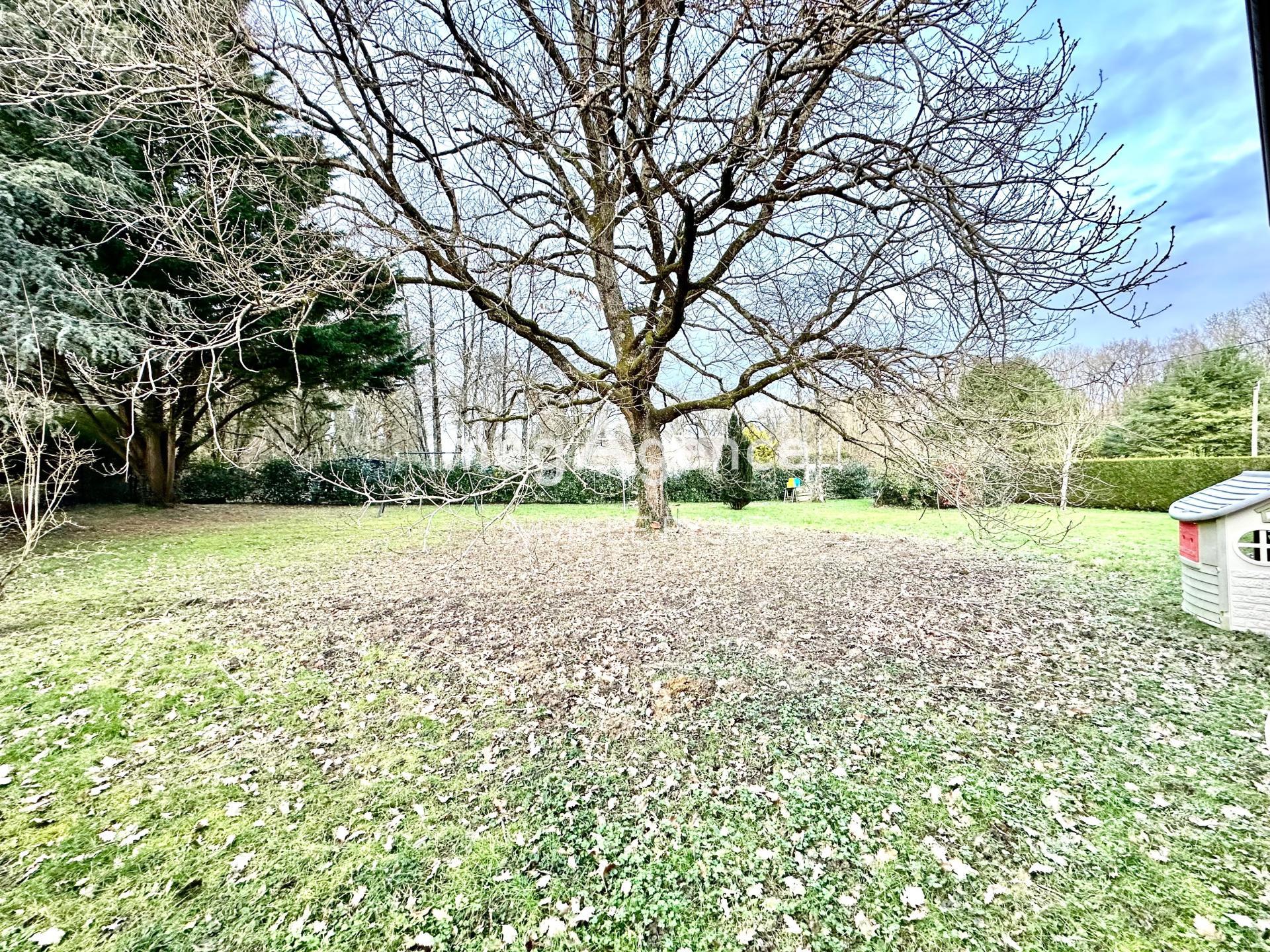 Miniature photo - 3 / 17