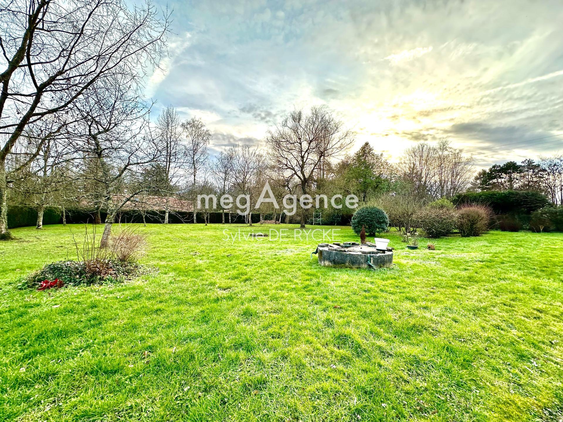 Miniature photo - 2 / 17