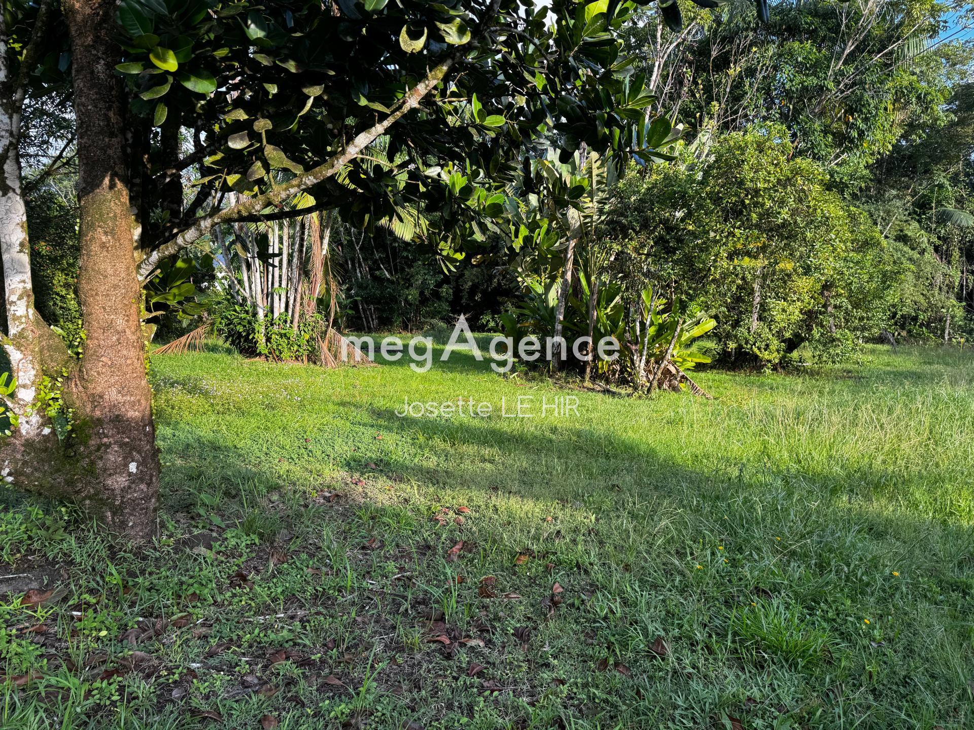 Miniature photo - 4 / 4