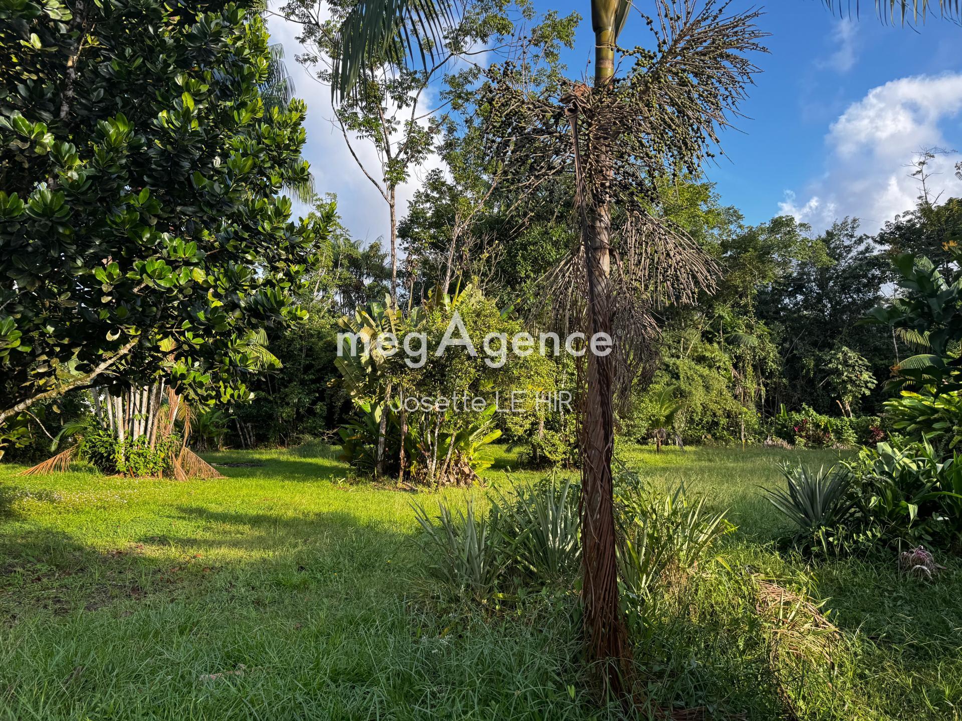 Miniature photo - 2 / 4