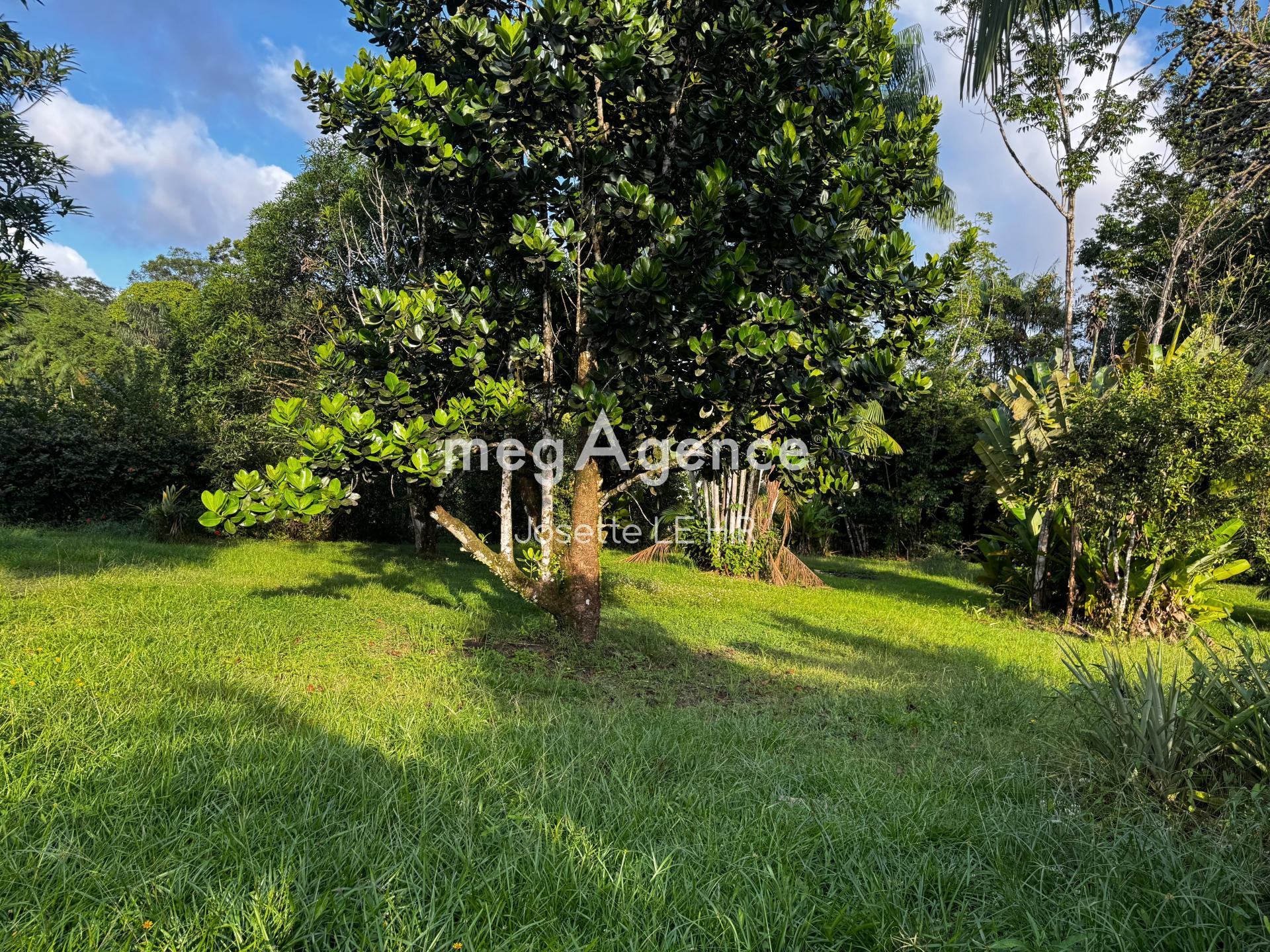 Miniature photo - 3 / 4