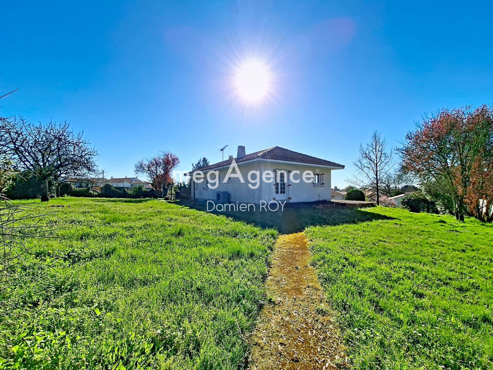 Miniature photo - 10 / 11