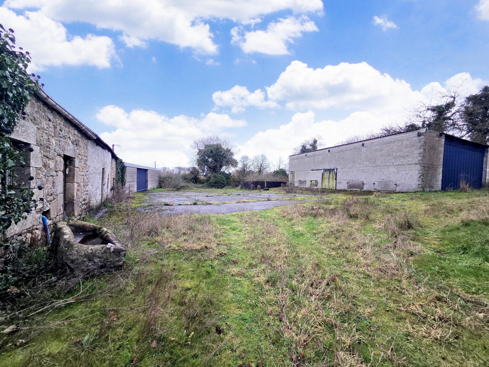 Miniature photo - 2 / 13