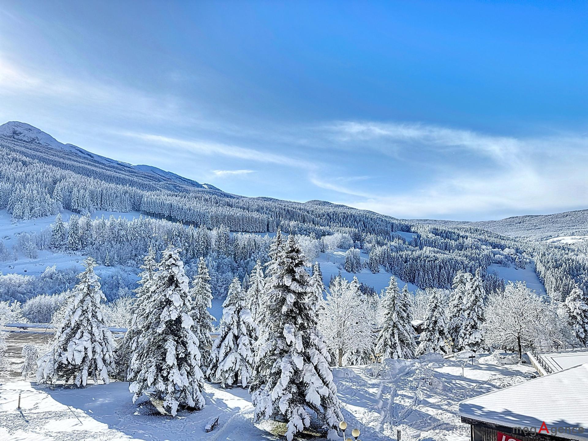 Miniature photo - 13 / 16