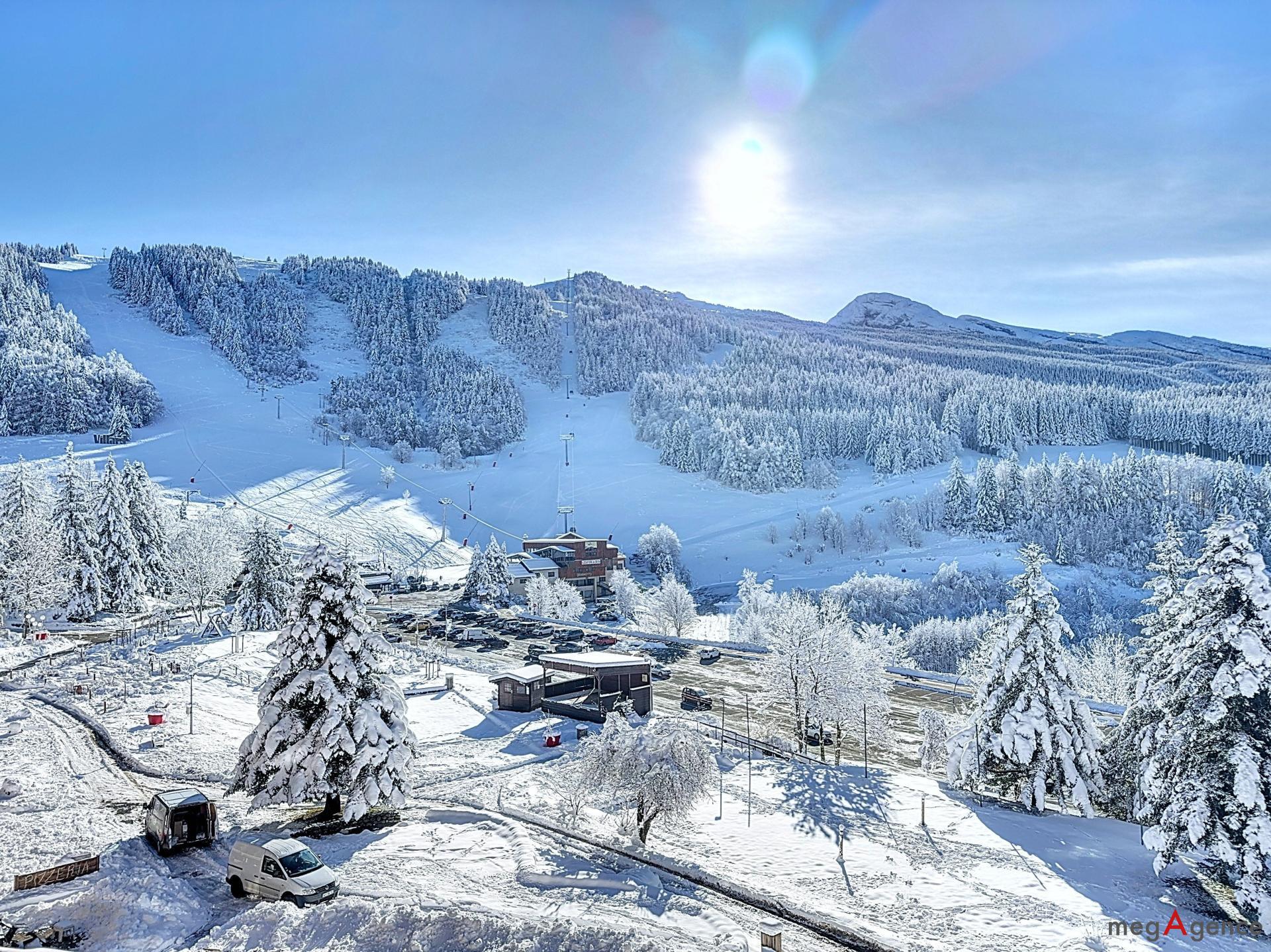 Miniature photo - 3 / 16