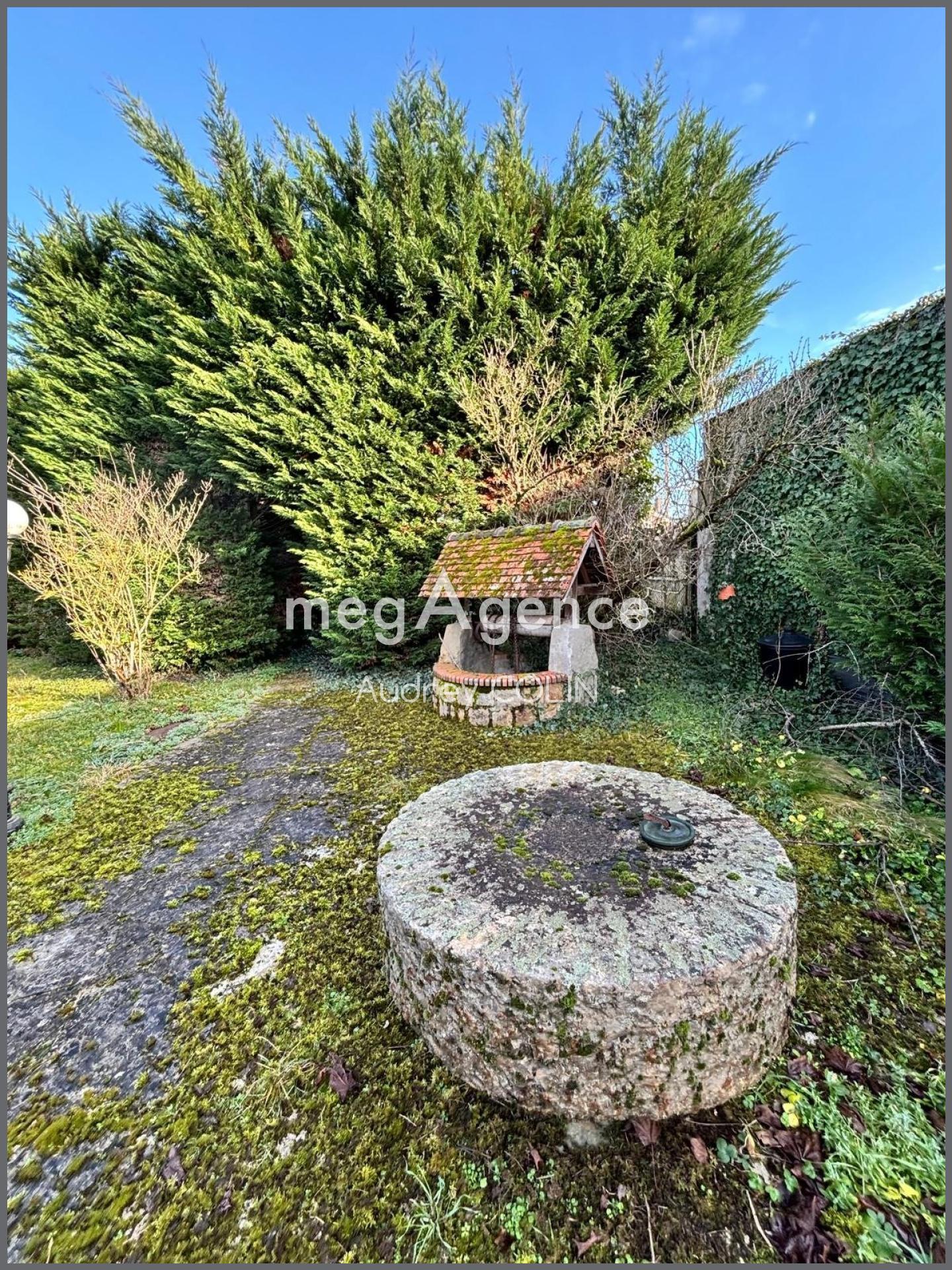 Miniature photo - 3 / 10