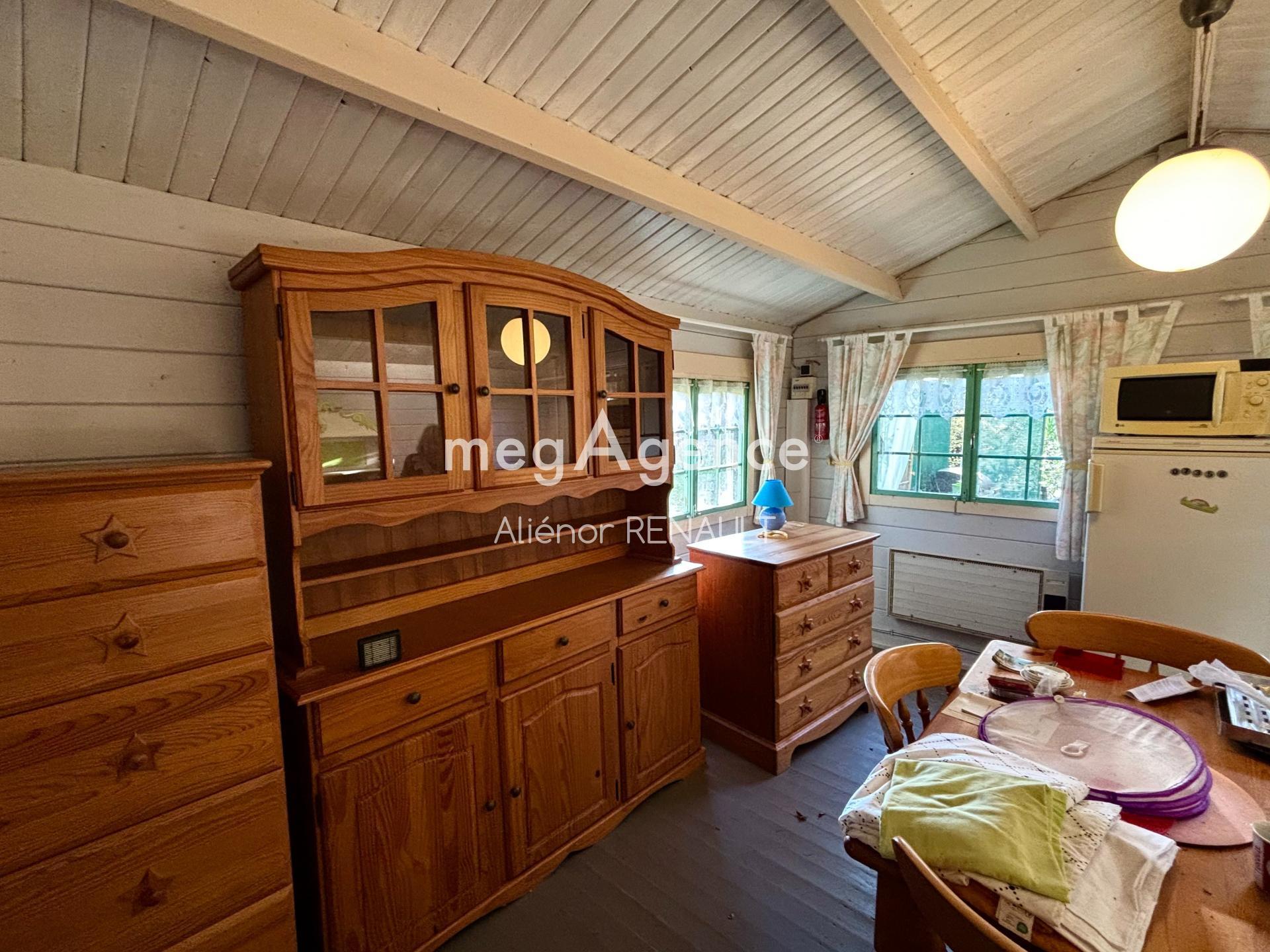 Miniature photo - 10 / 12