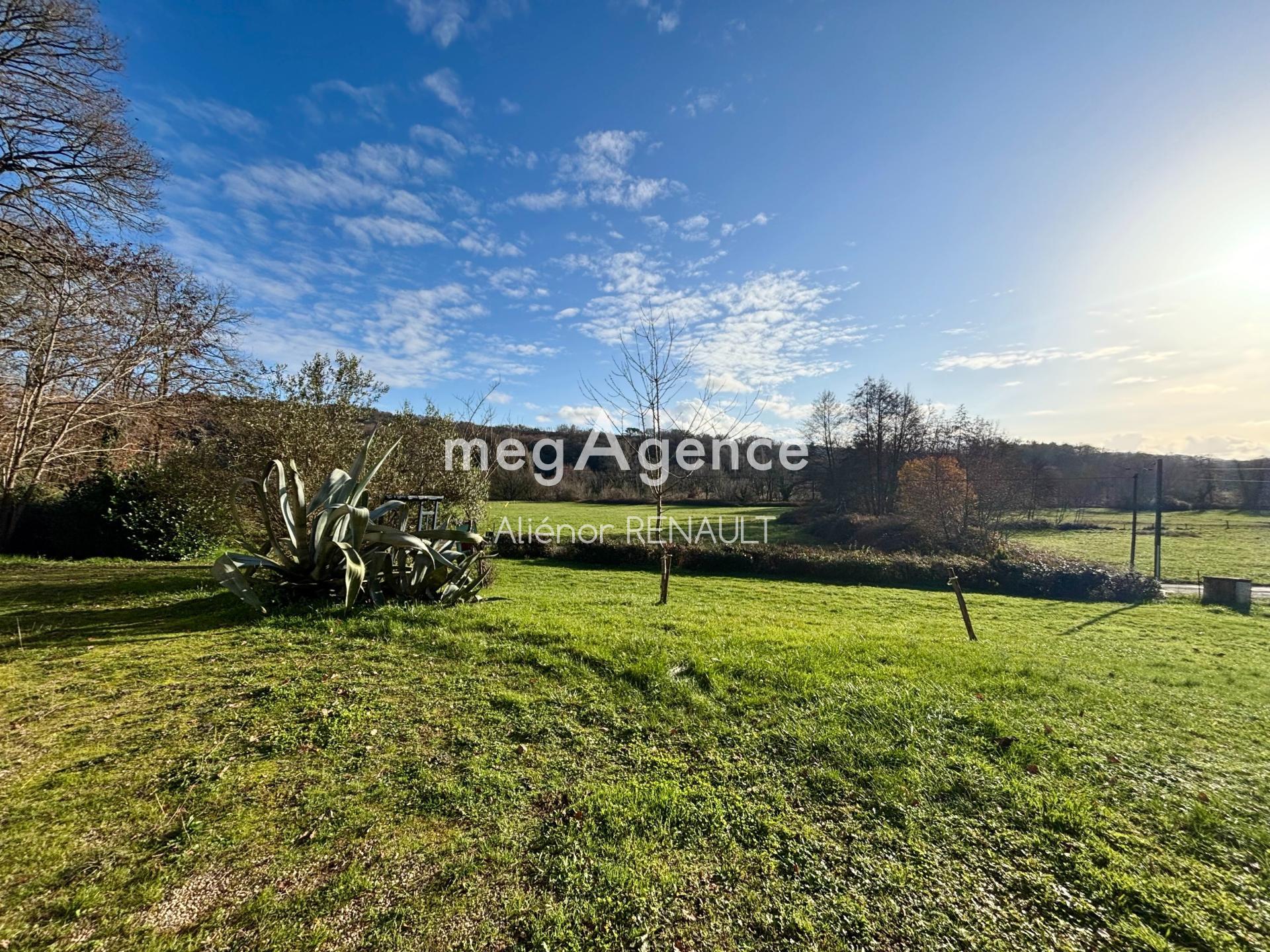 Miniature photo - 2 / 12