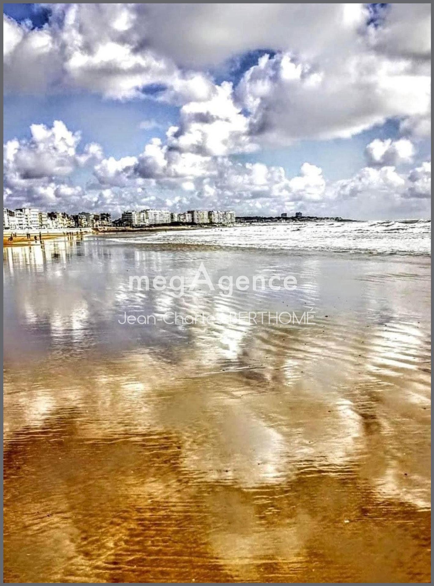 Miniature photo - 4 / 12