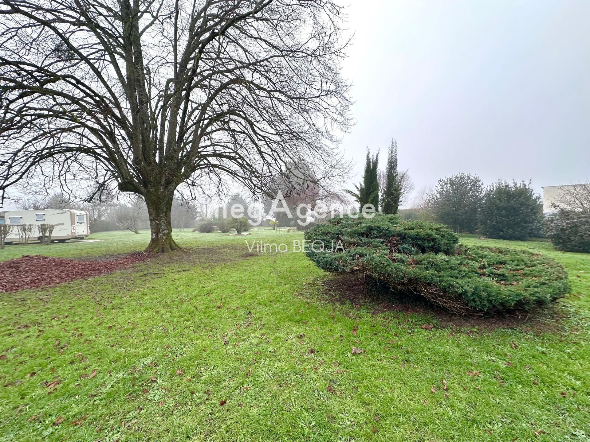 Miniature photo - 3 / 18