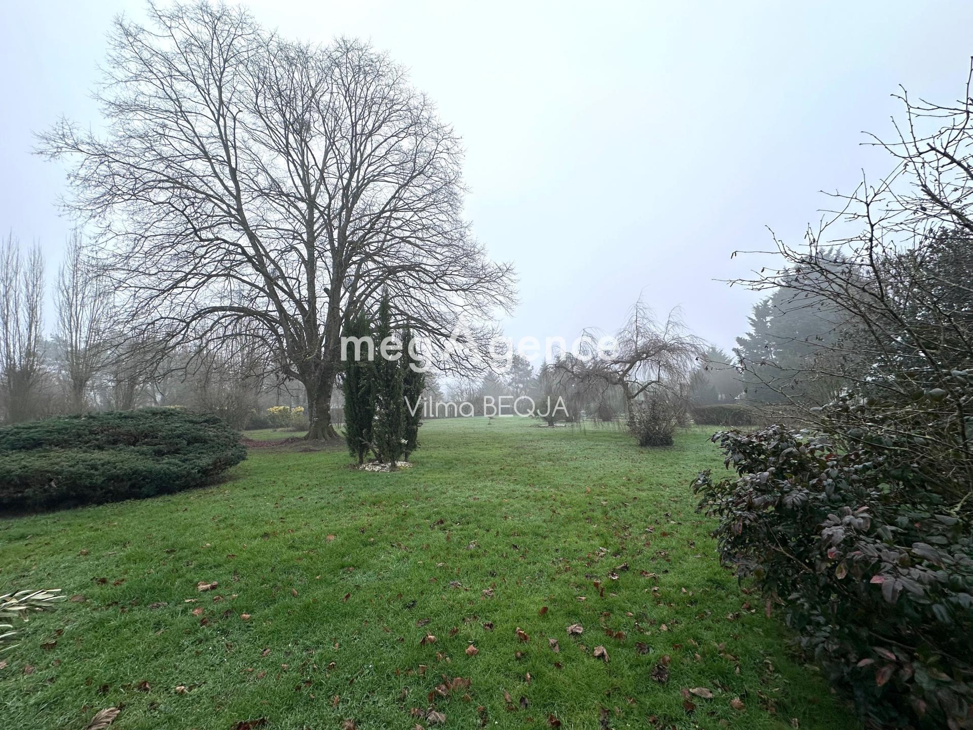 Miniature photo - 17 / 18