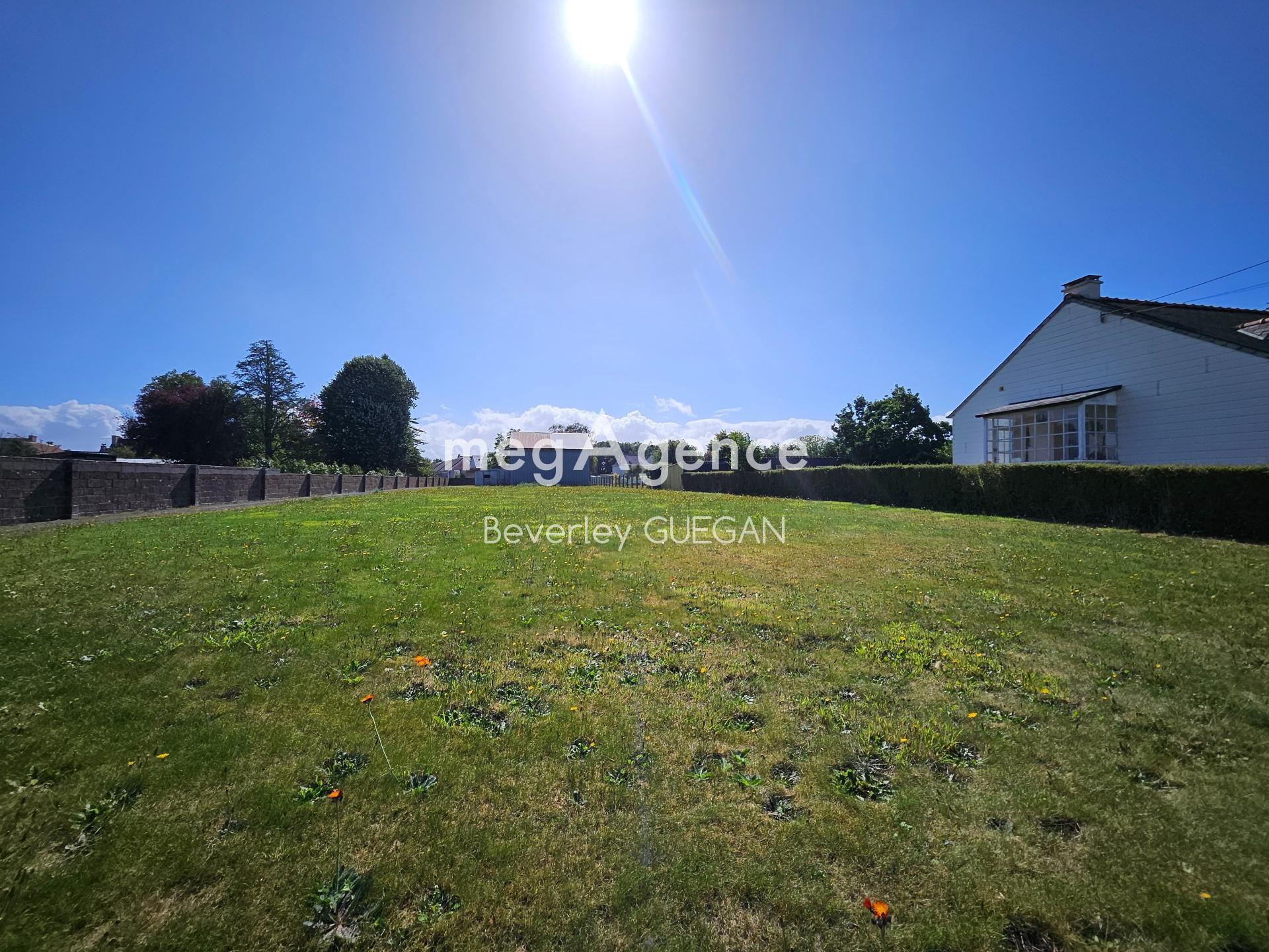 Miniature photo - 3 / 3