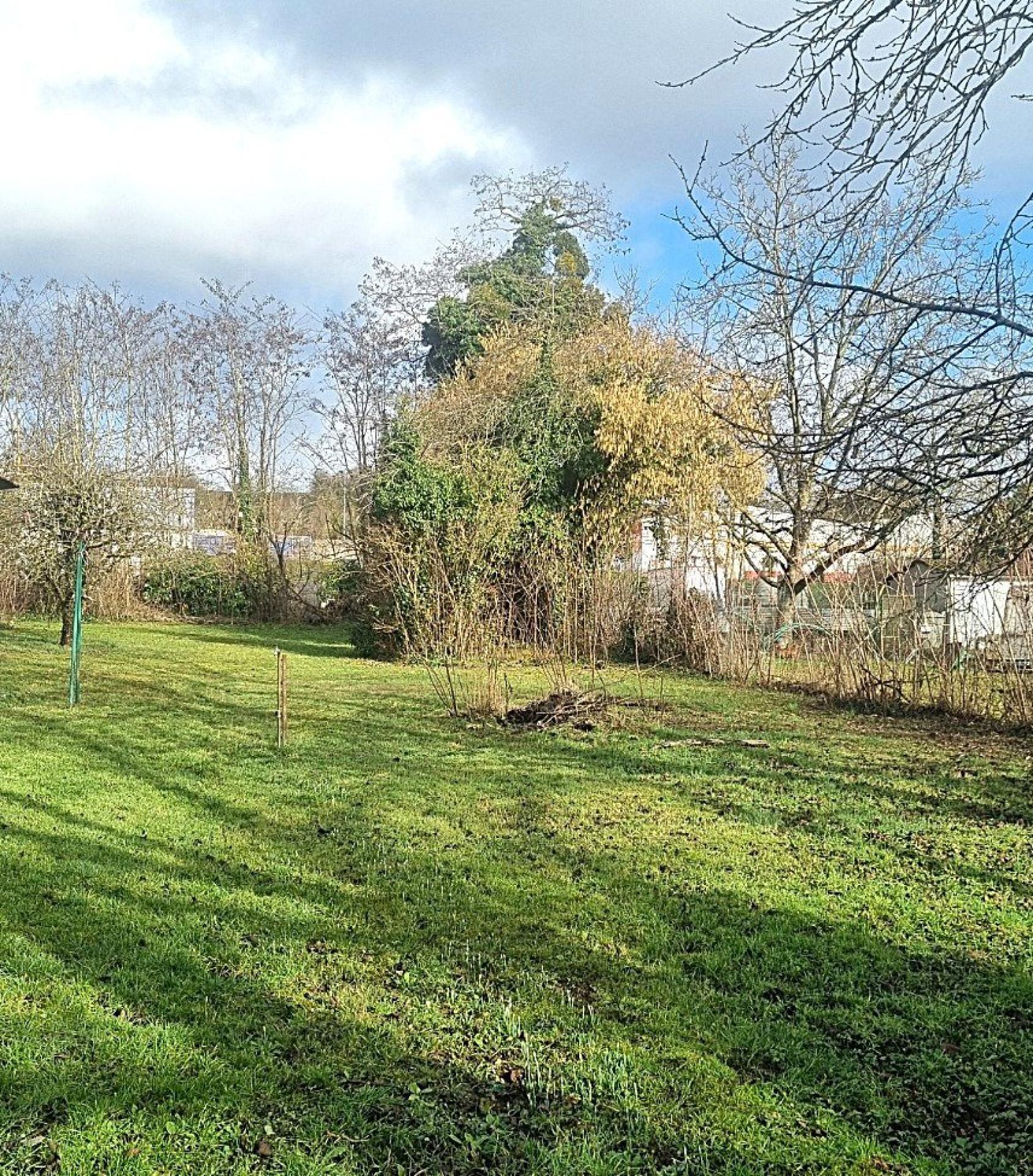 Miniature photo - 4 / 11