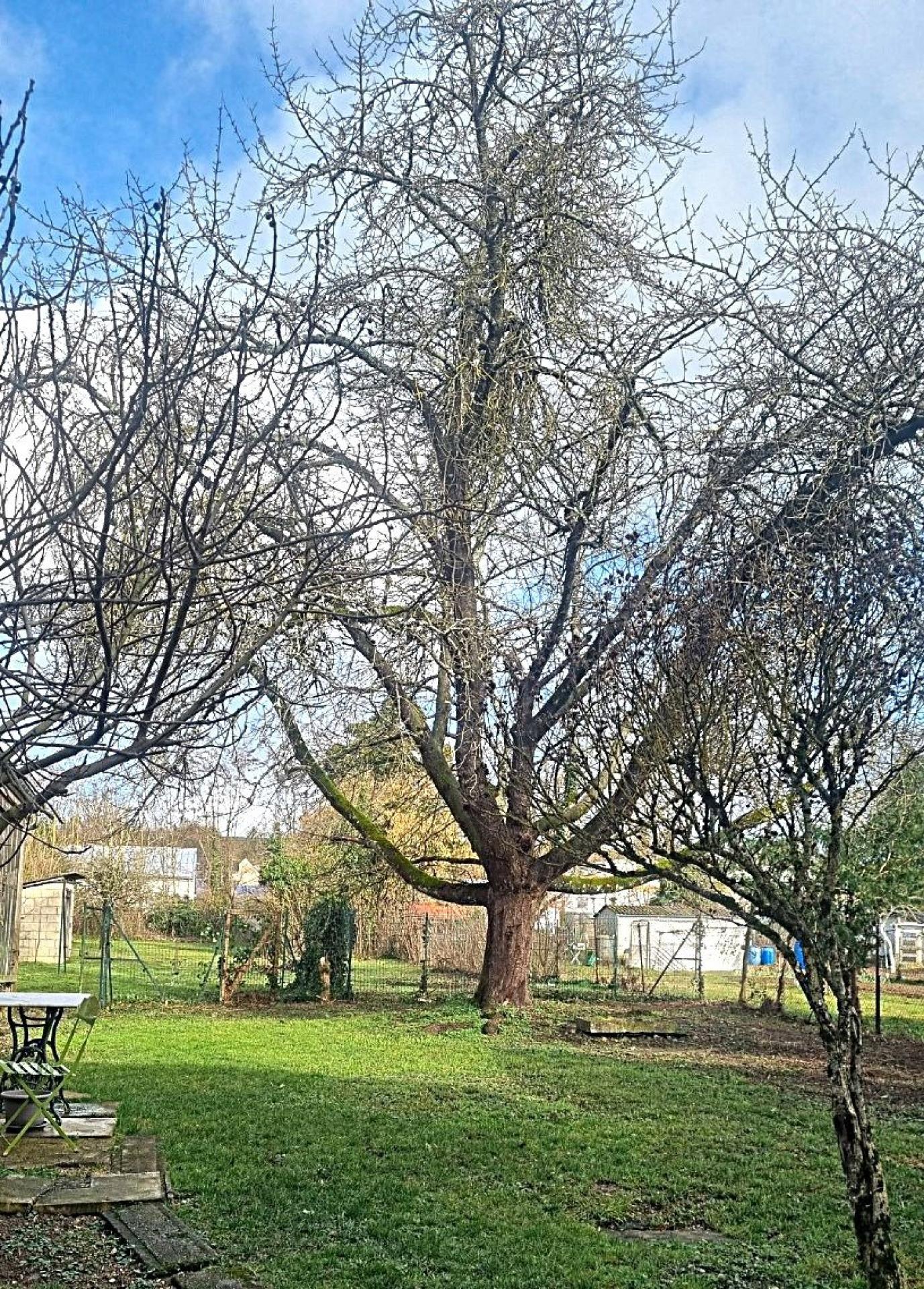 Miniature photo - 3 / 11