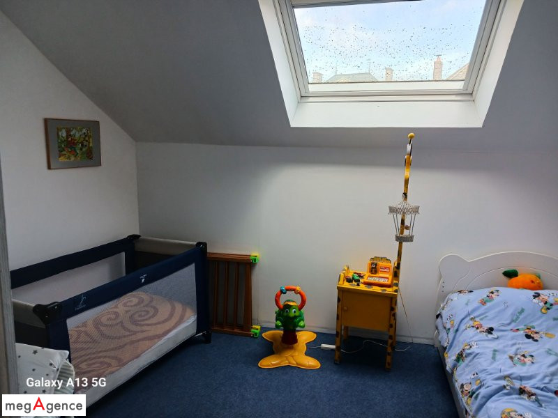 Miniature photo - 11 / 13