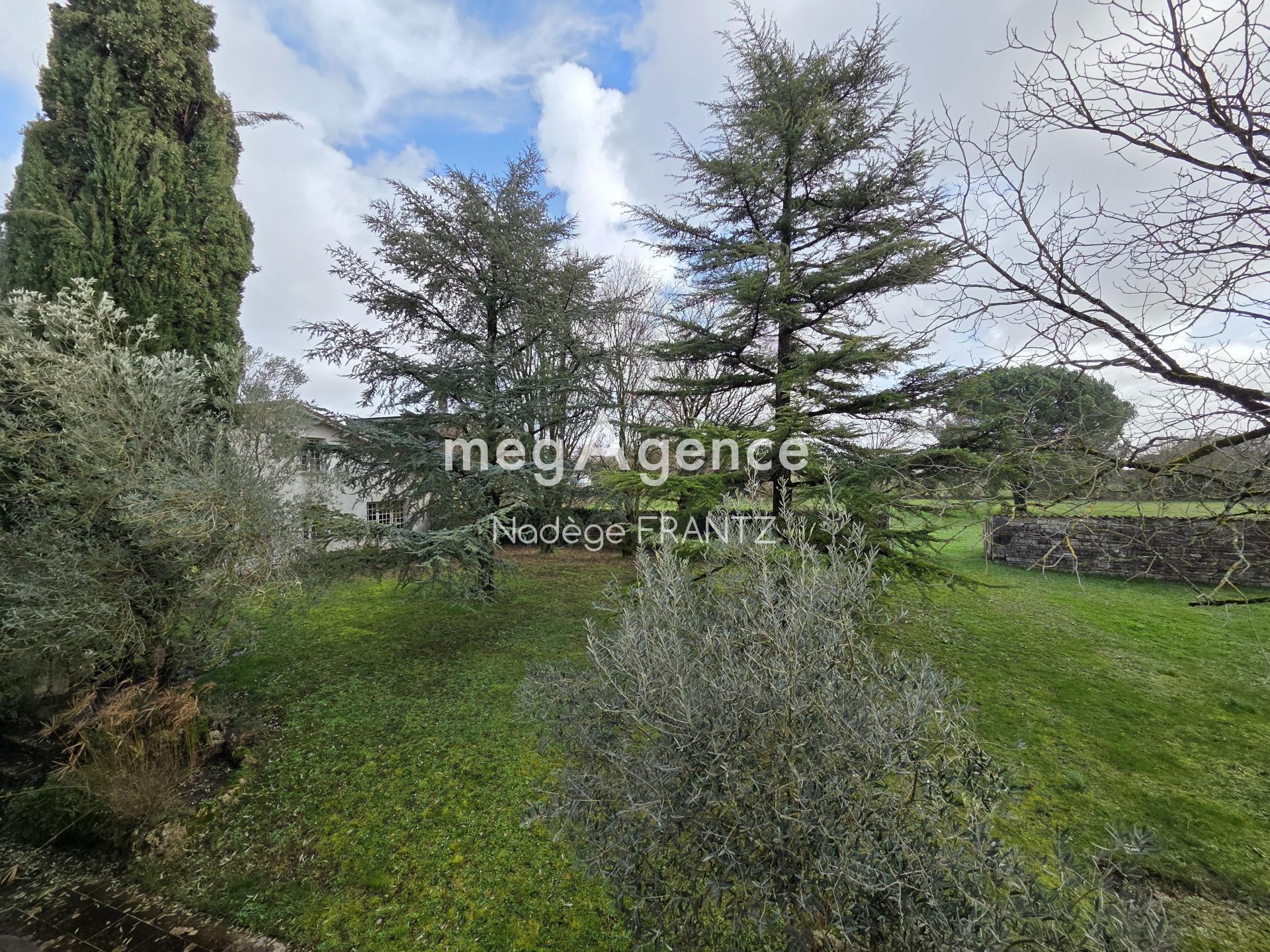 Miniature photo - 20 / 20