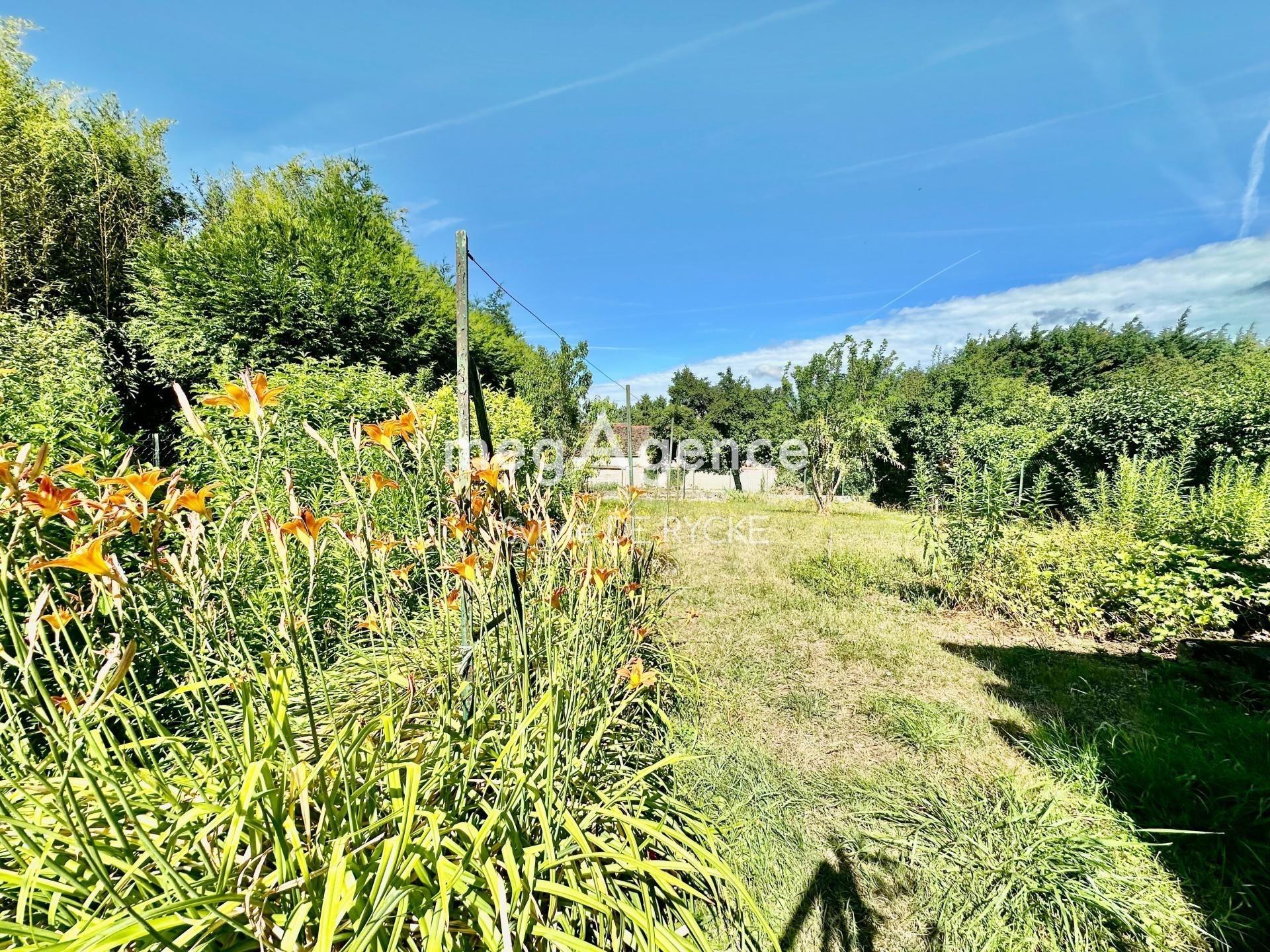 Miniature photo - 3 / 13