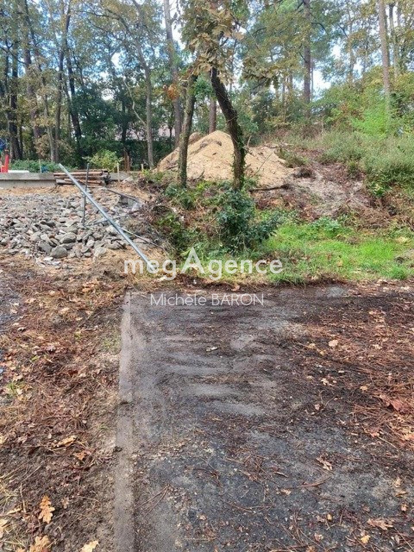 Miniature photo - 3 / 4