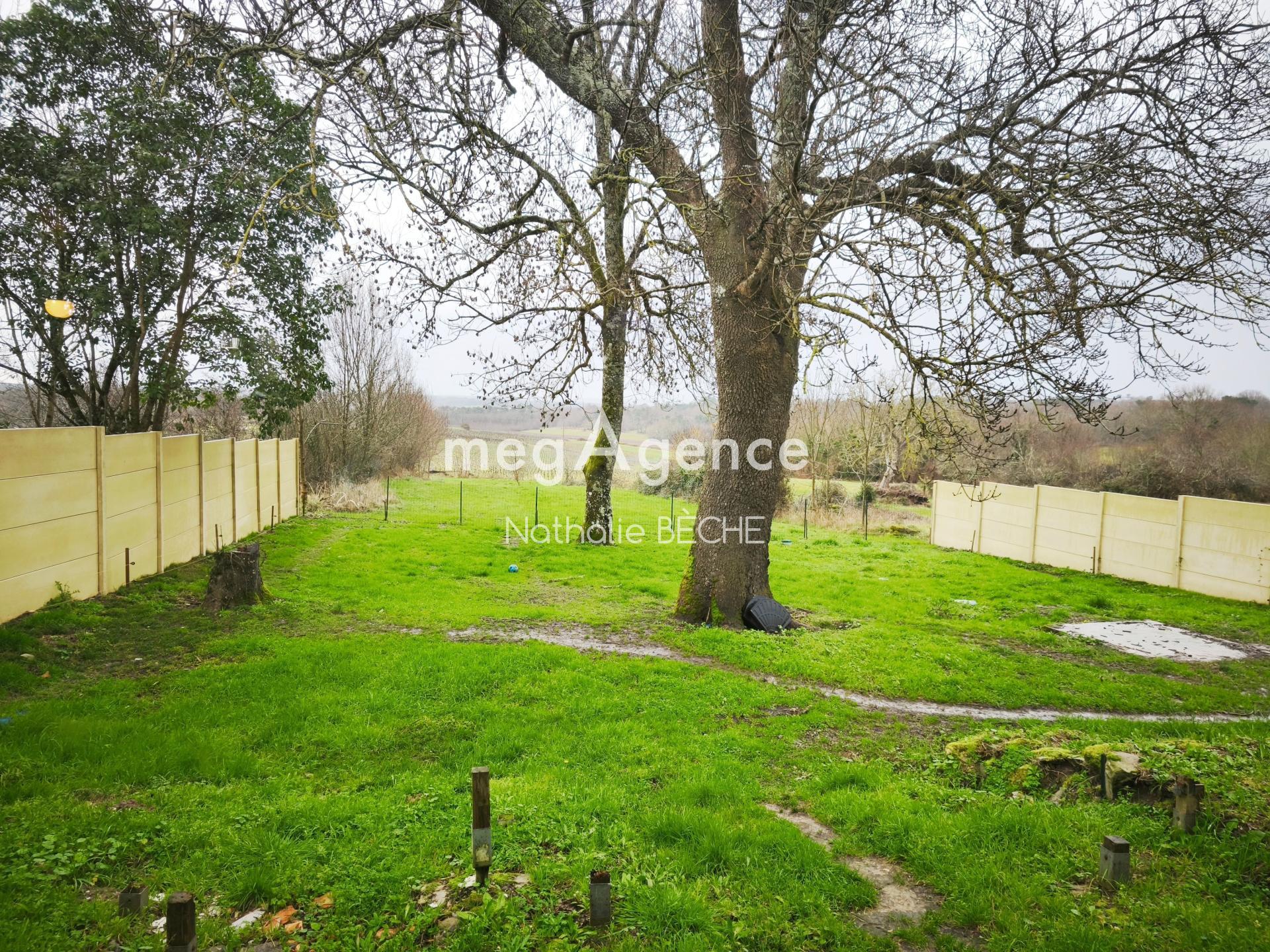 Miniature photo - 11 / 11