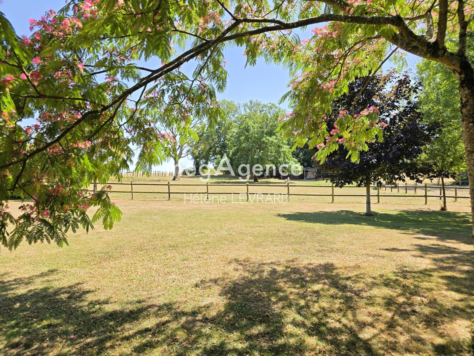 Miniature photo - 13 / 14