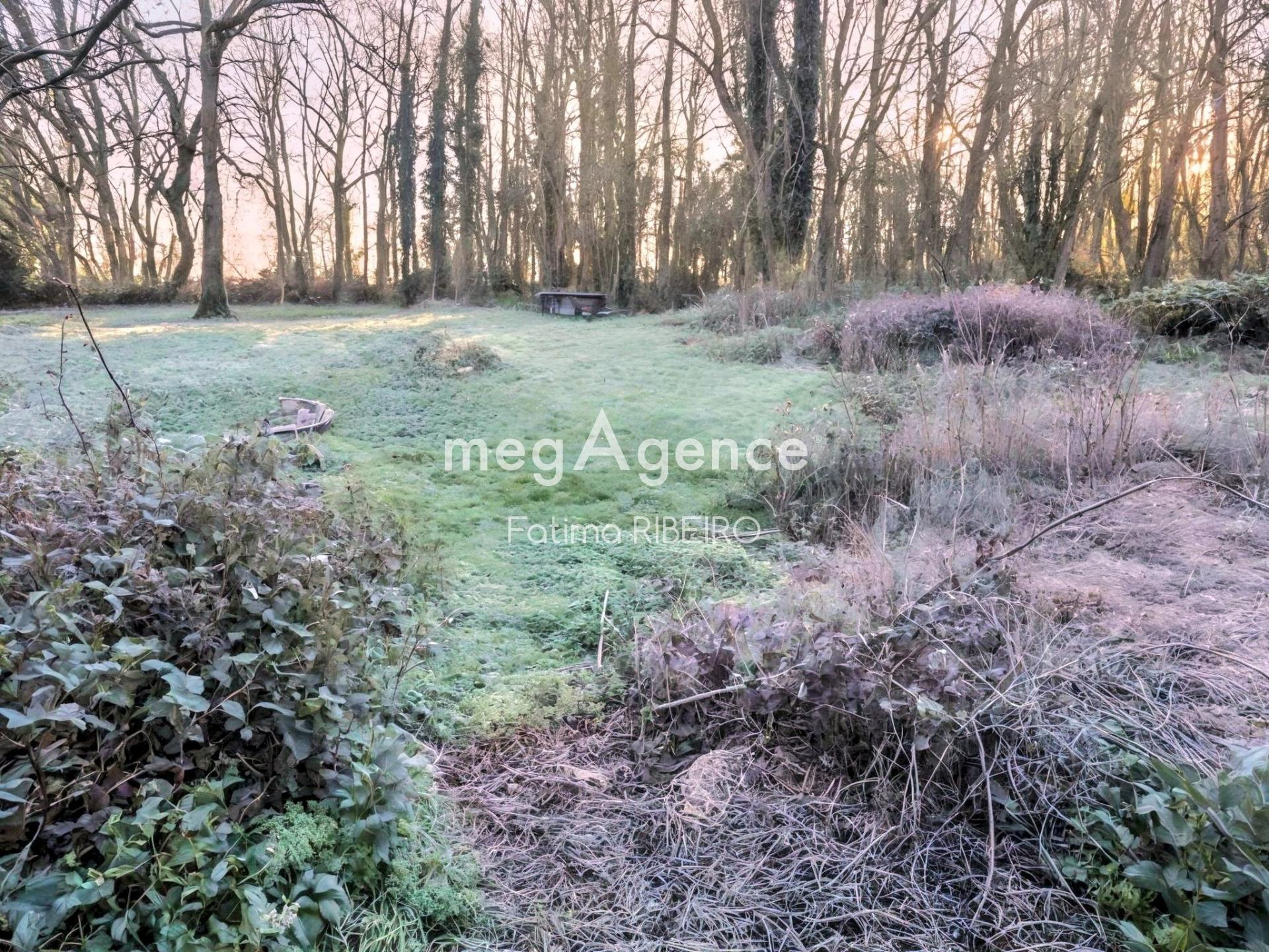 Miniature photo - 4 / 5