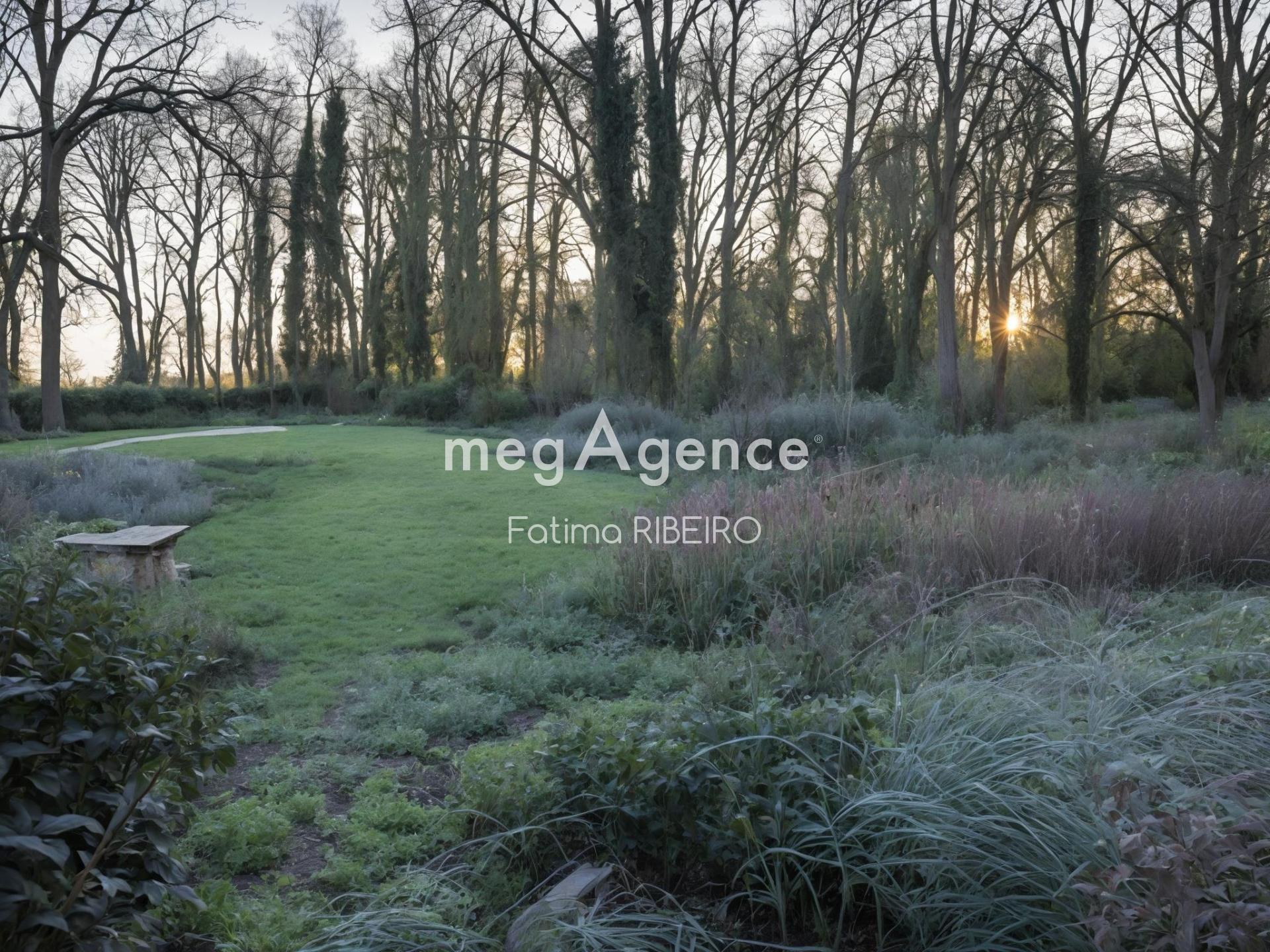 Miniature photo - 5 / 5