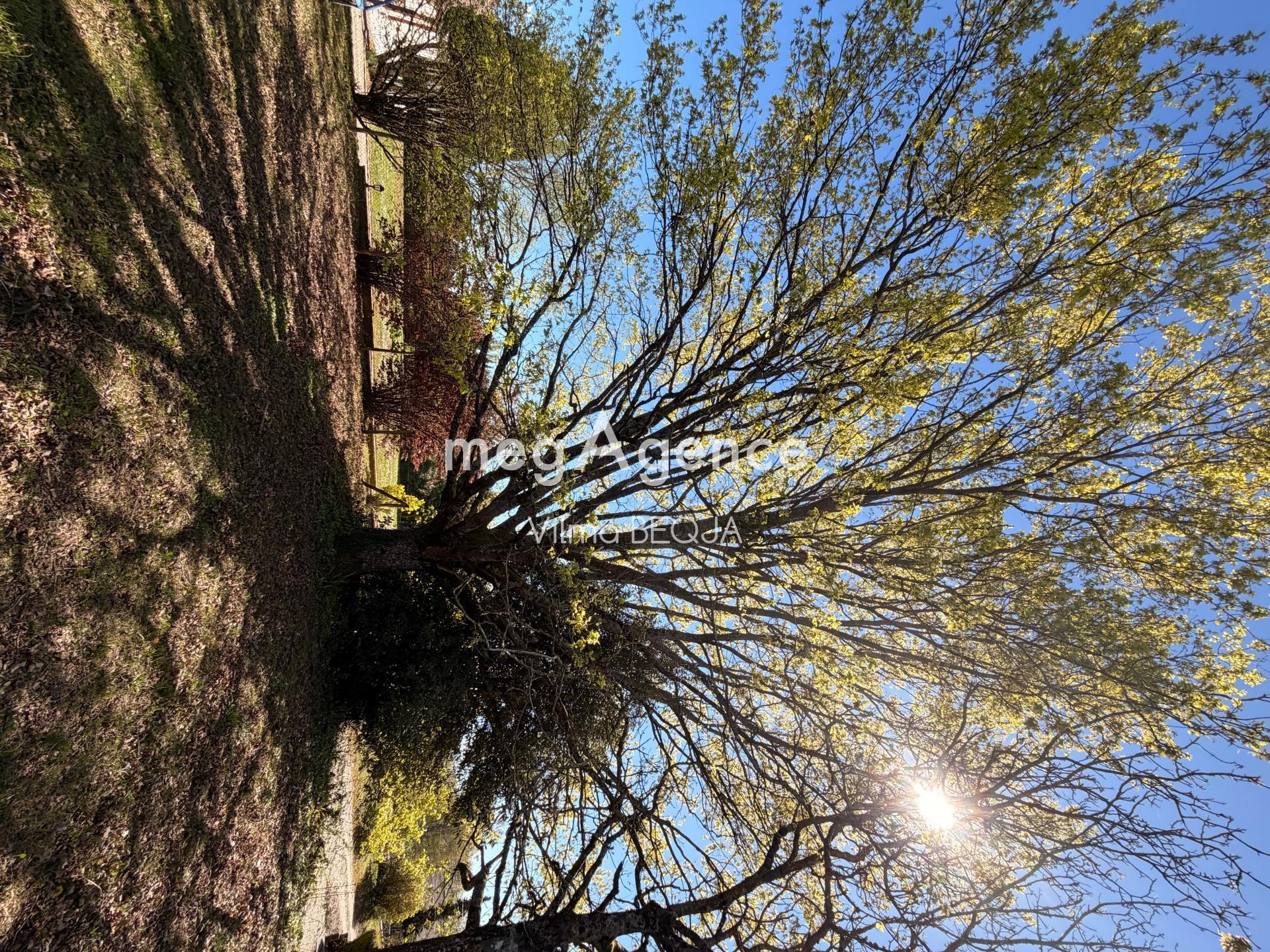 Miniature photo - 16 / 17