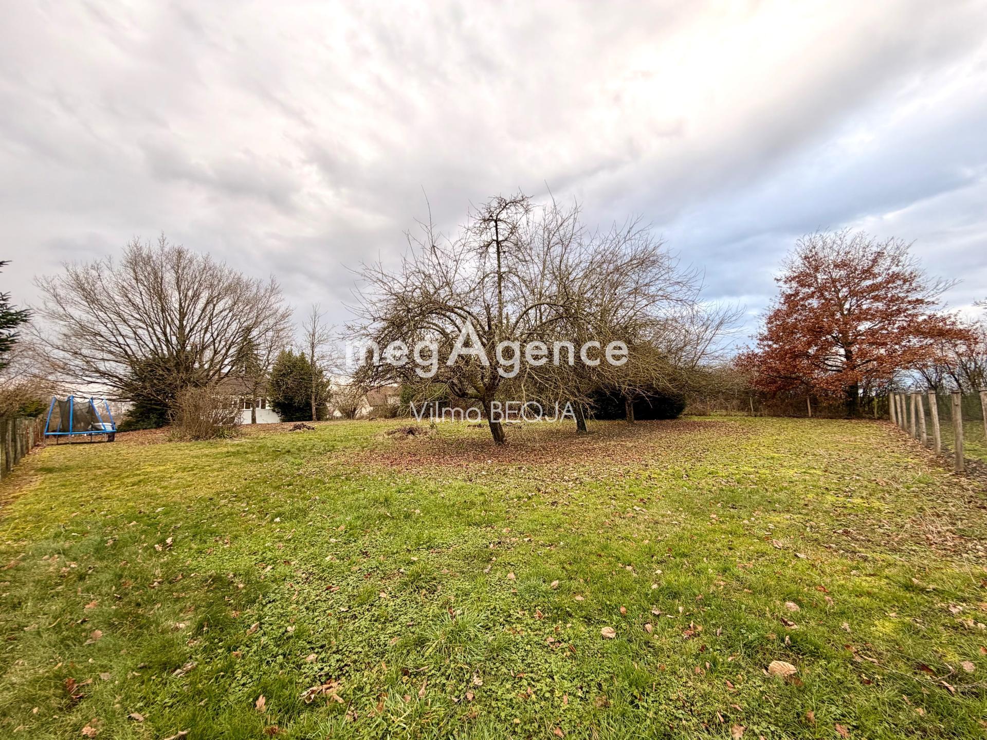 Miniature photo - 4 / 16