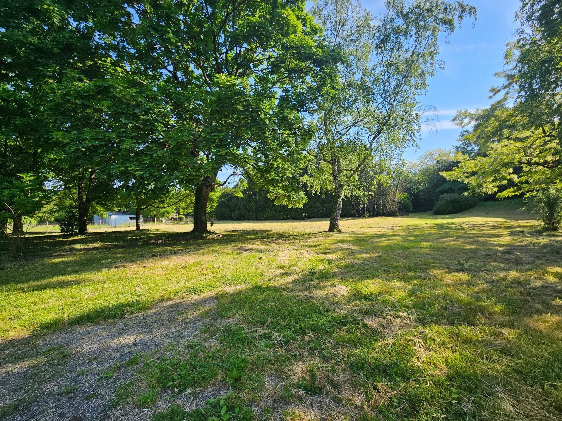 Miniature photo - 3 / 5