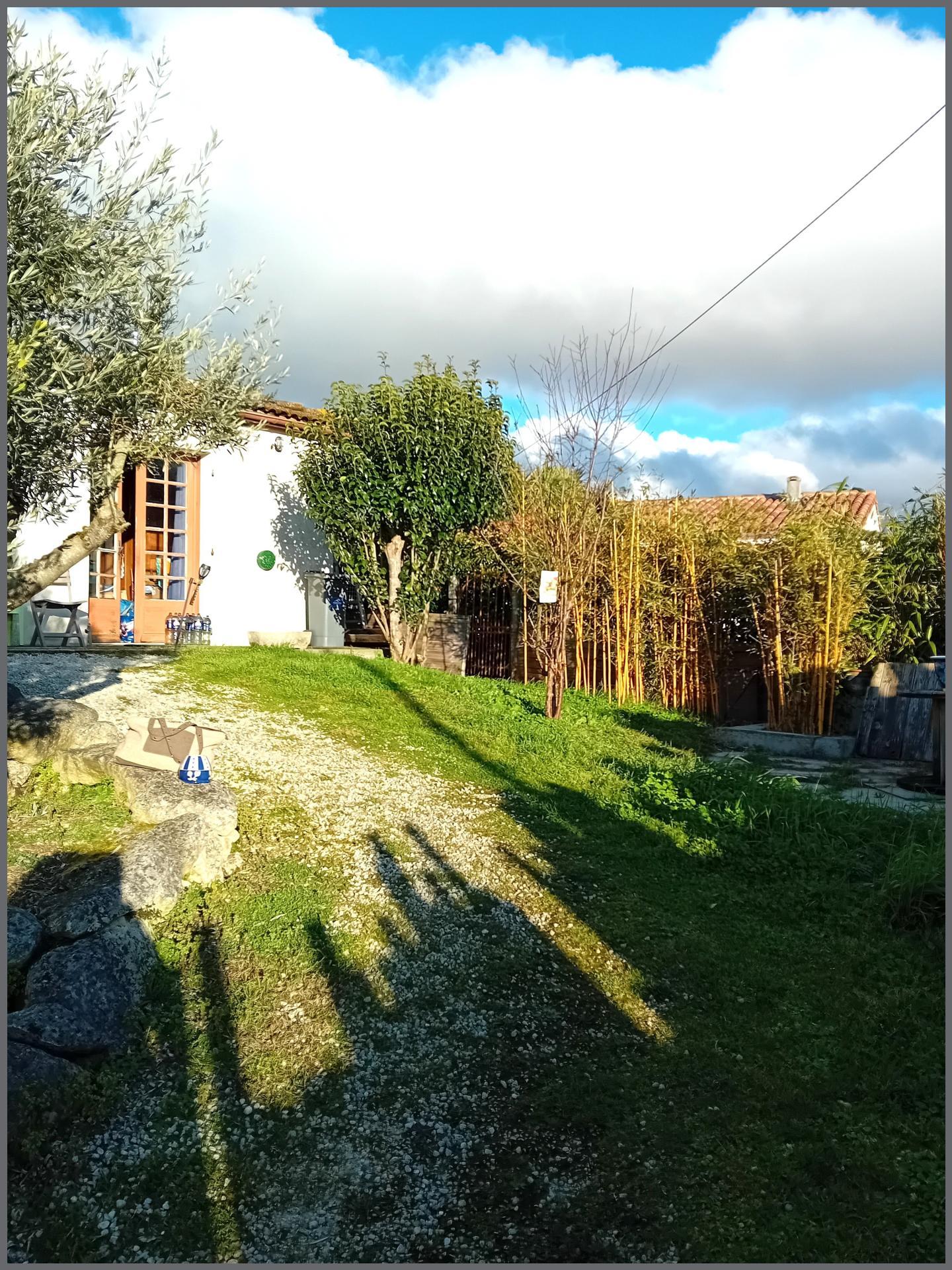 Miniature photo - 3 / 4