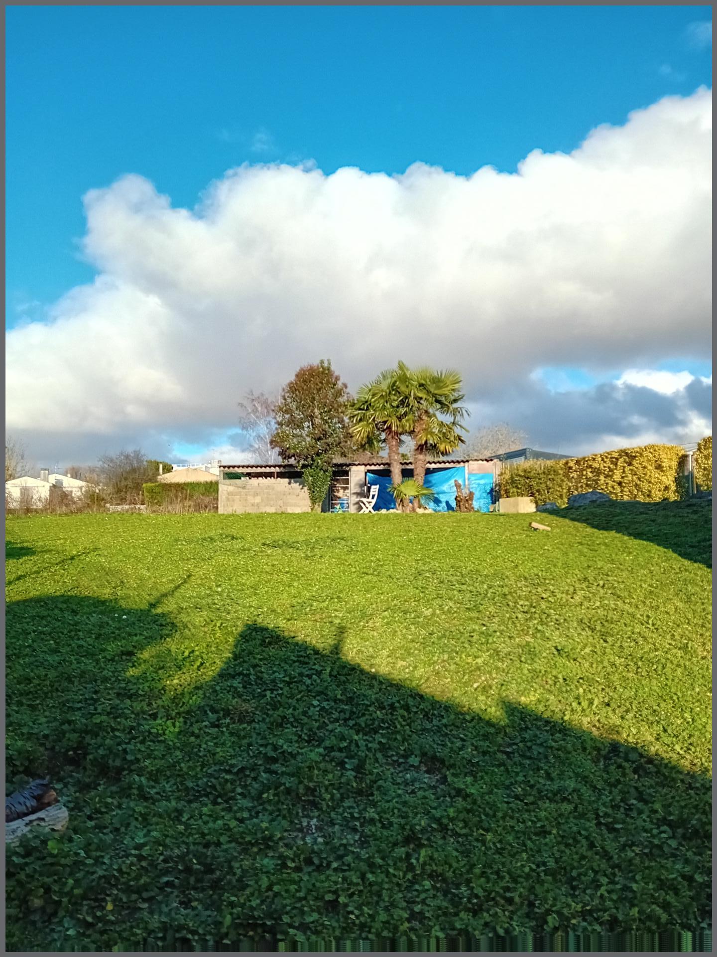 Miniature photo - 4 / 4