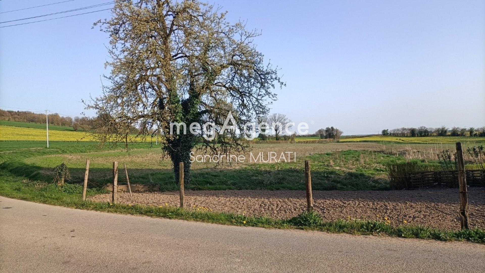 Miniature photo - 10 / 10