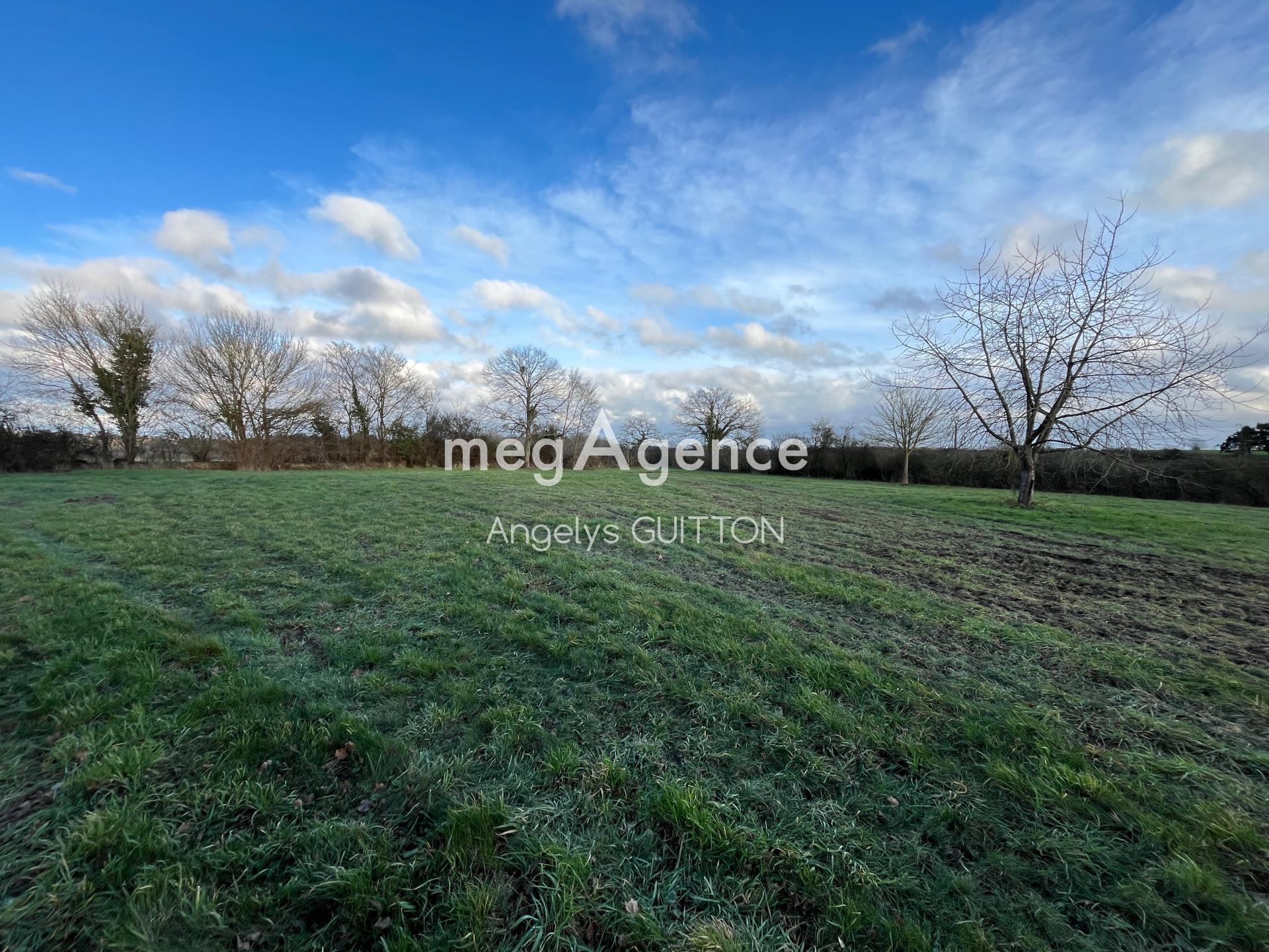 Miniature photo - 7 / 7