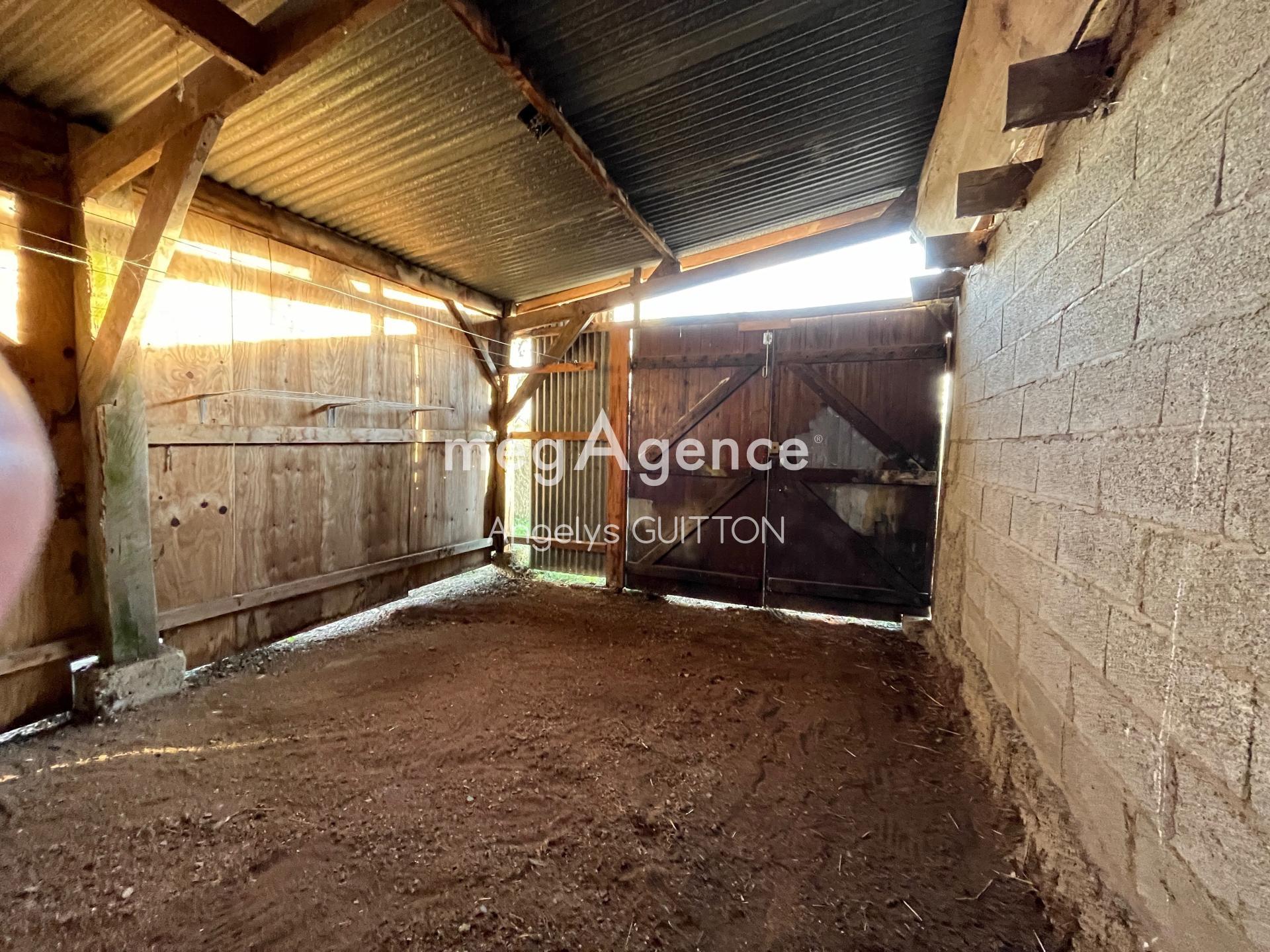 Miniature photo - 5 / 7