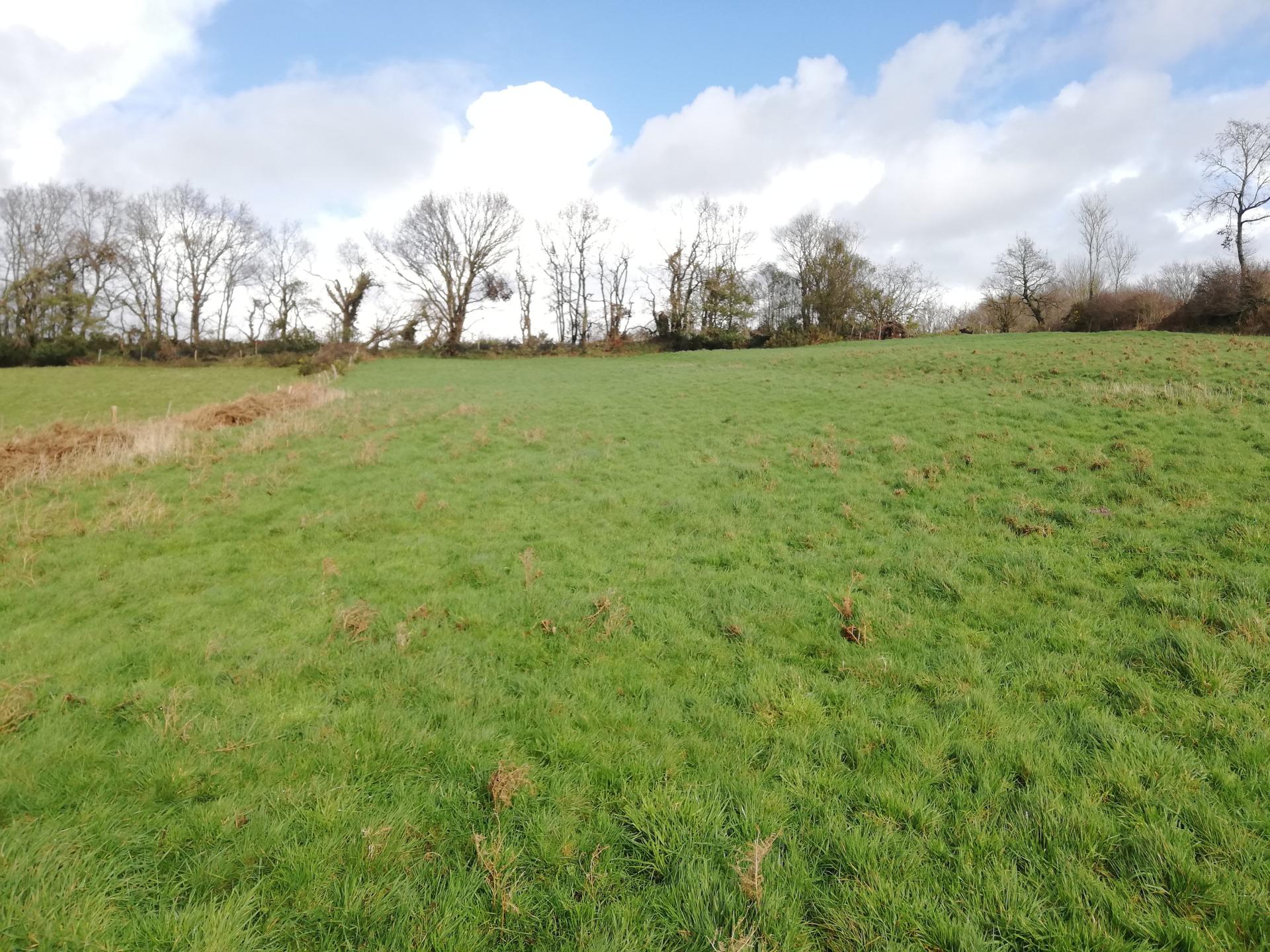 Miniature photo - 20 / 20