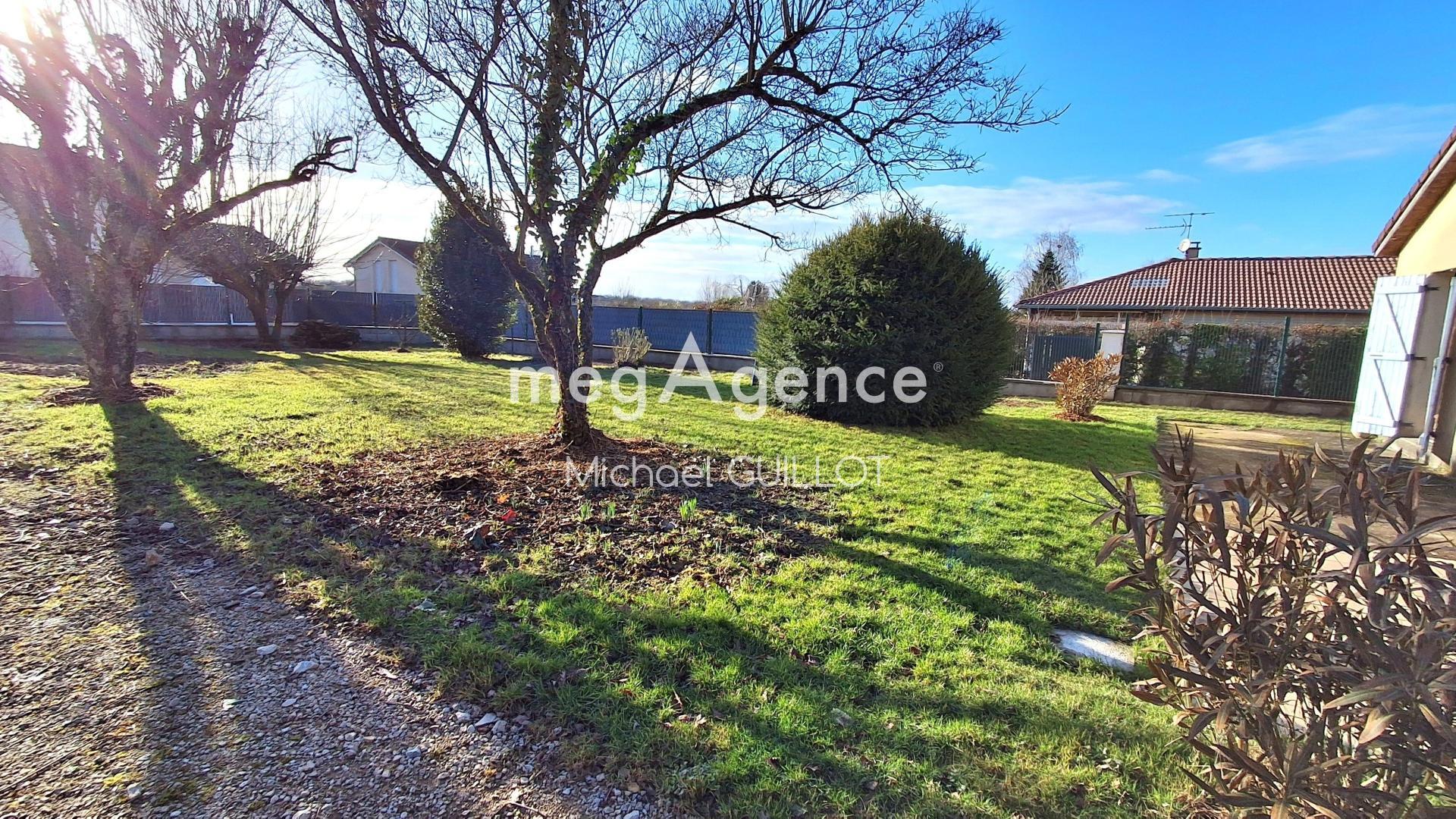 Miniature photo - 4 / 11