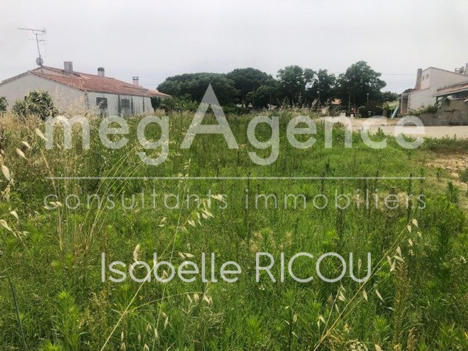 Miniature photo - 2 / 3