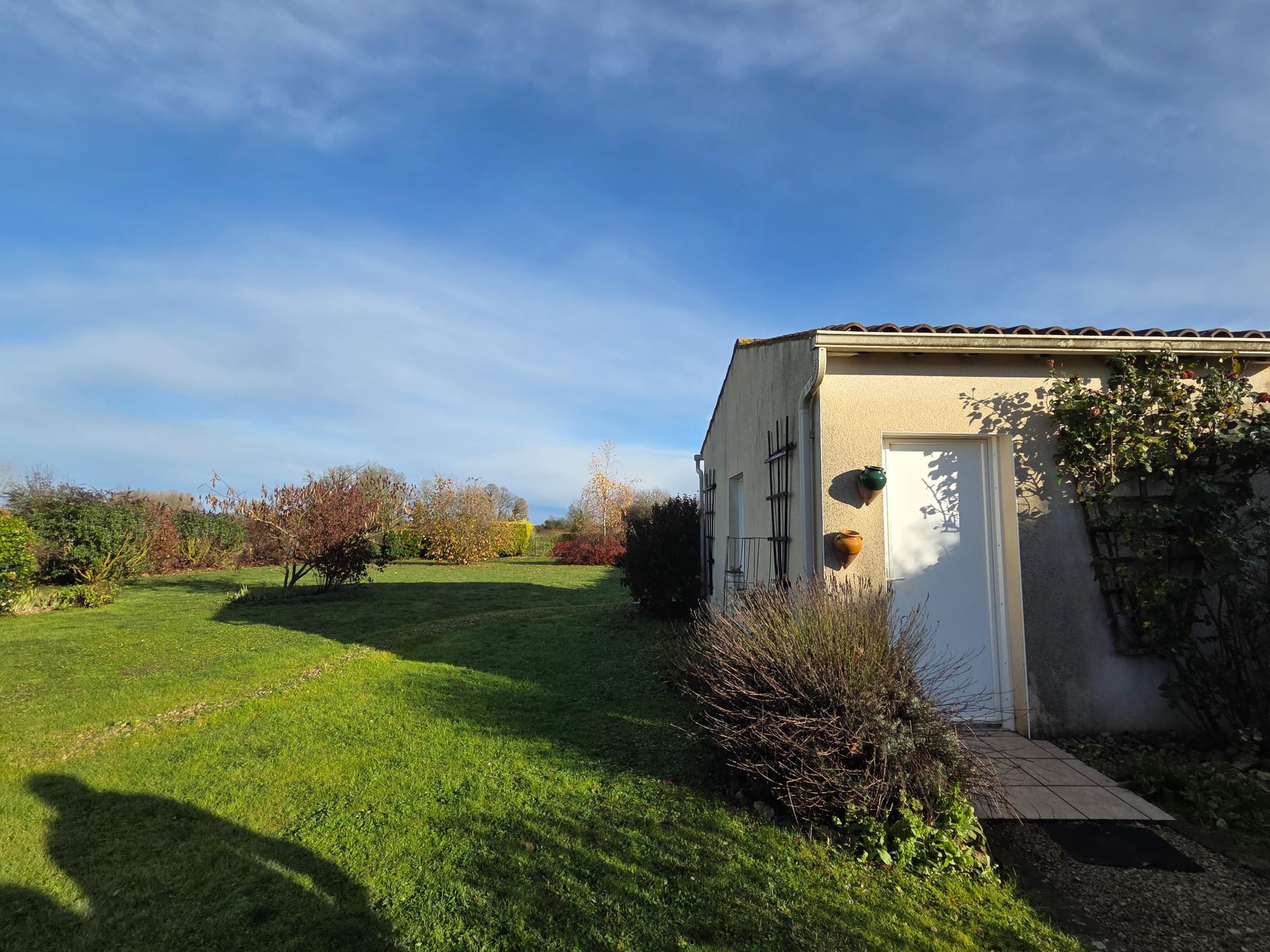 Miniature photo - 5 / 5